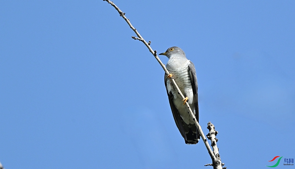 DSC_3157.JPG