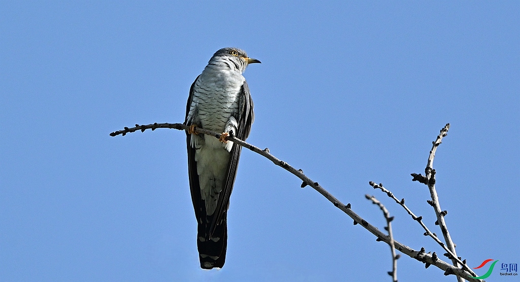 DSC_3438.JPG