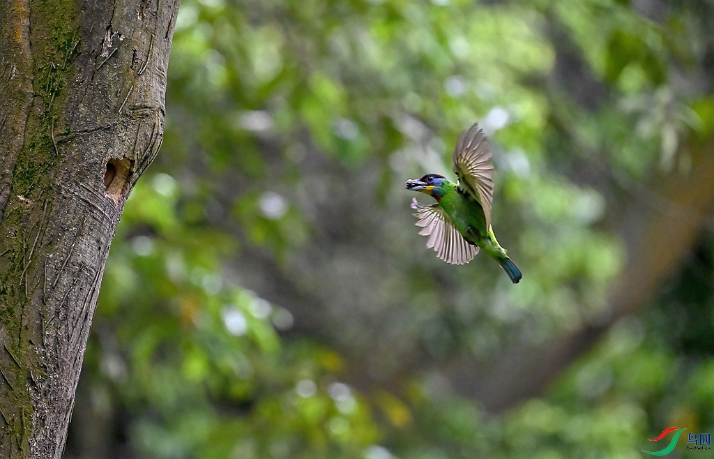 DSC_0876 ����.jpg