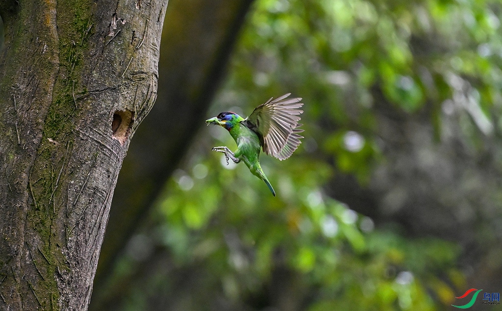 DSC_0740 ����.jpg