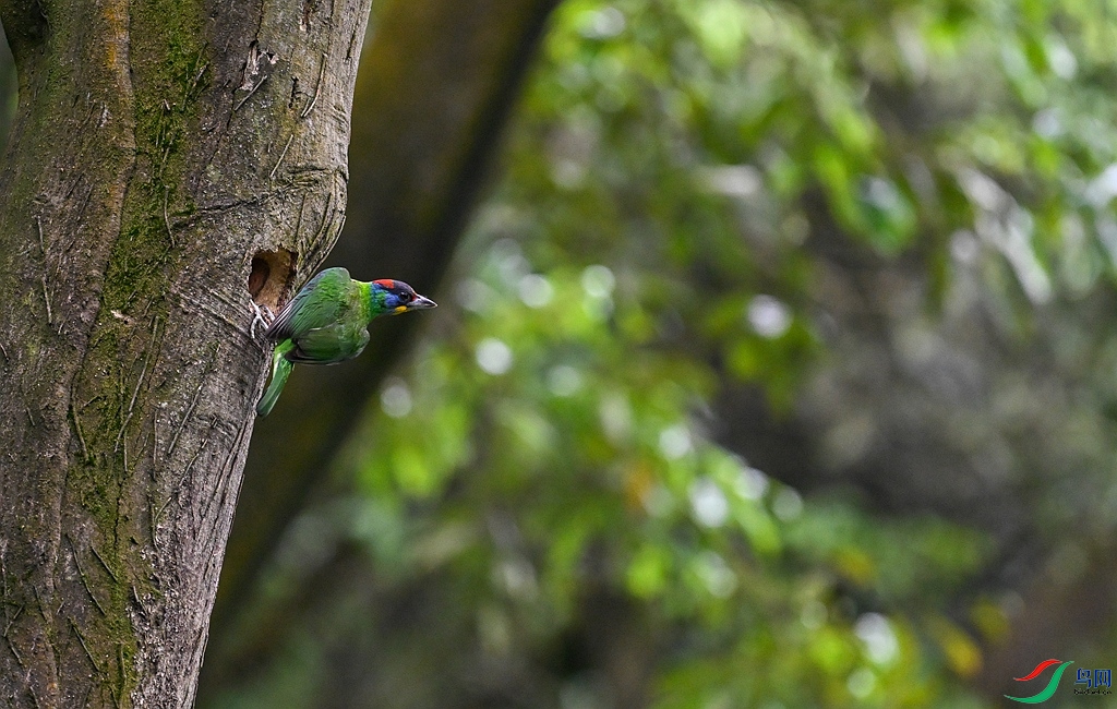 DSC_0684 ����.jpg