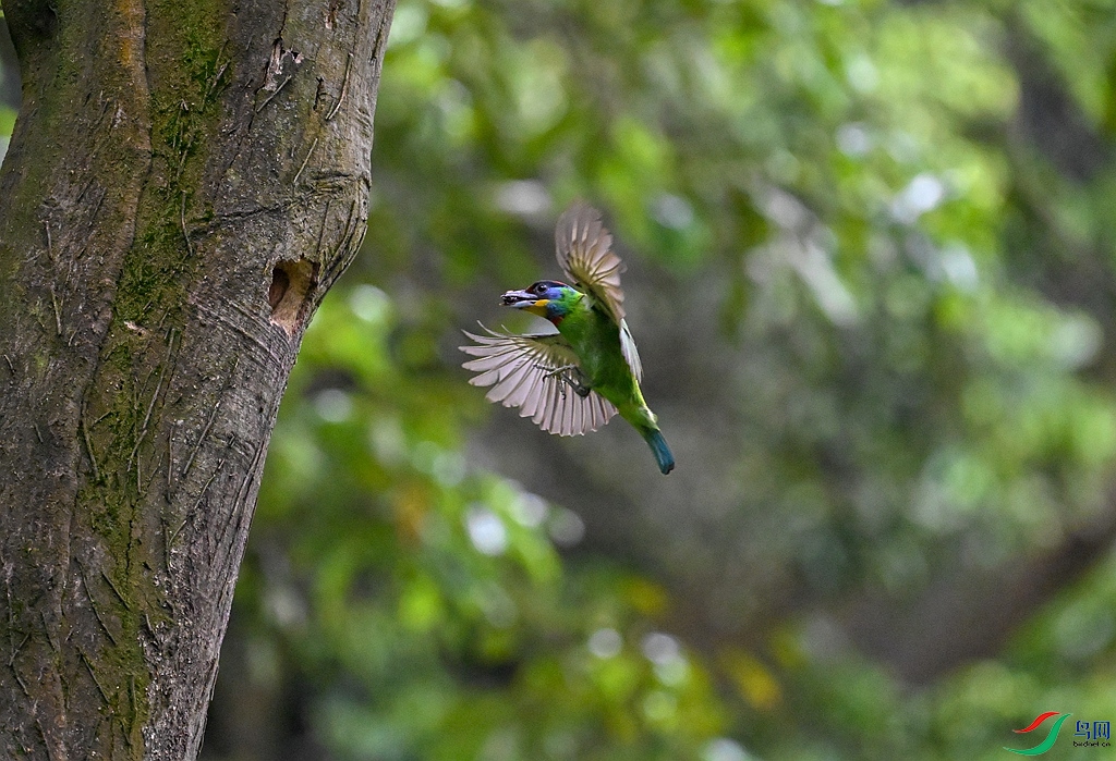 DSC_0878 ����.jpg