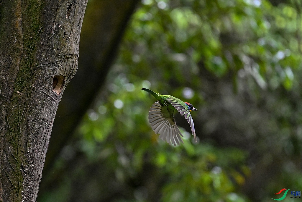 DSC_0783 ����.jpg