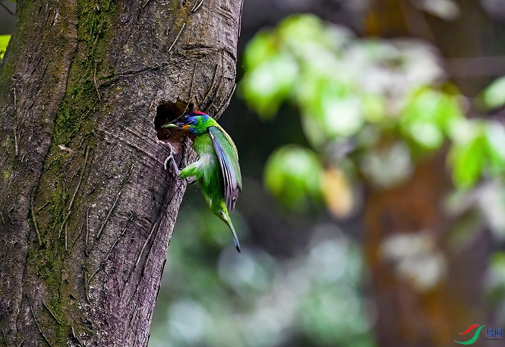 DSC_0134 ����.jpg