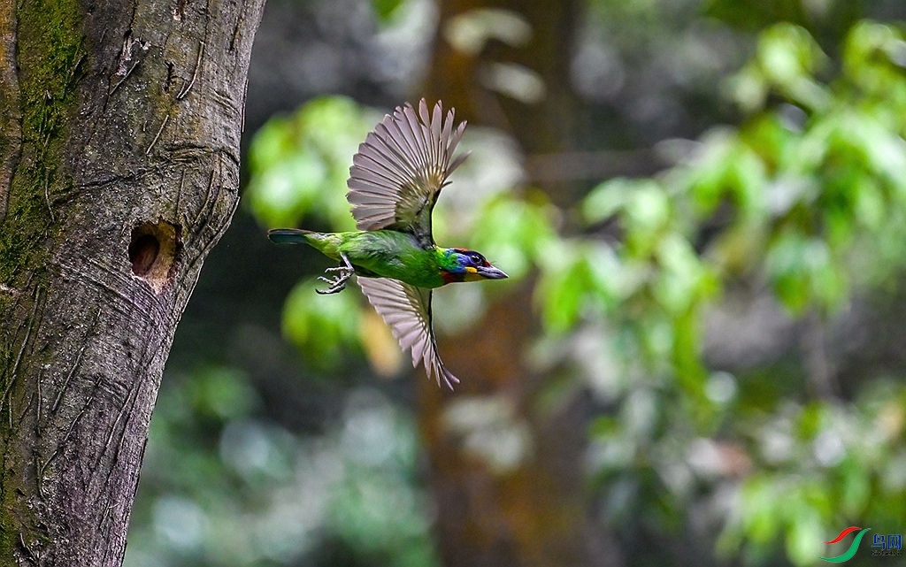 DSC_0312 ����.jpg