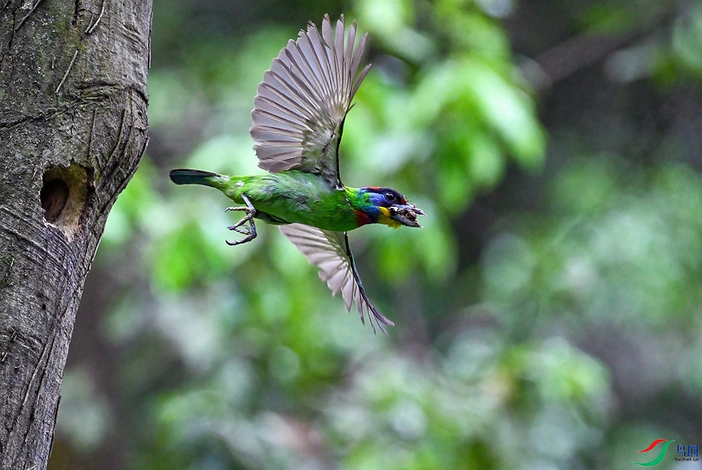 DSC_0368 ����.jpg