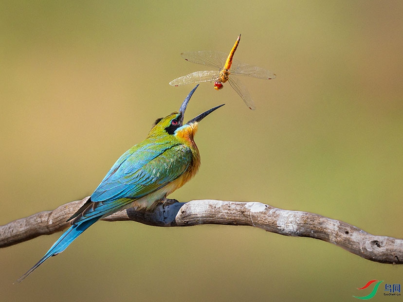 6H7A7392 ����.jpg