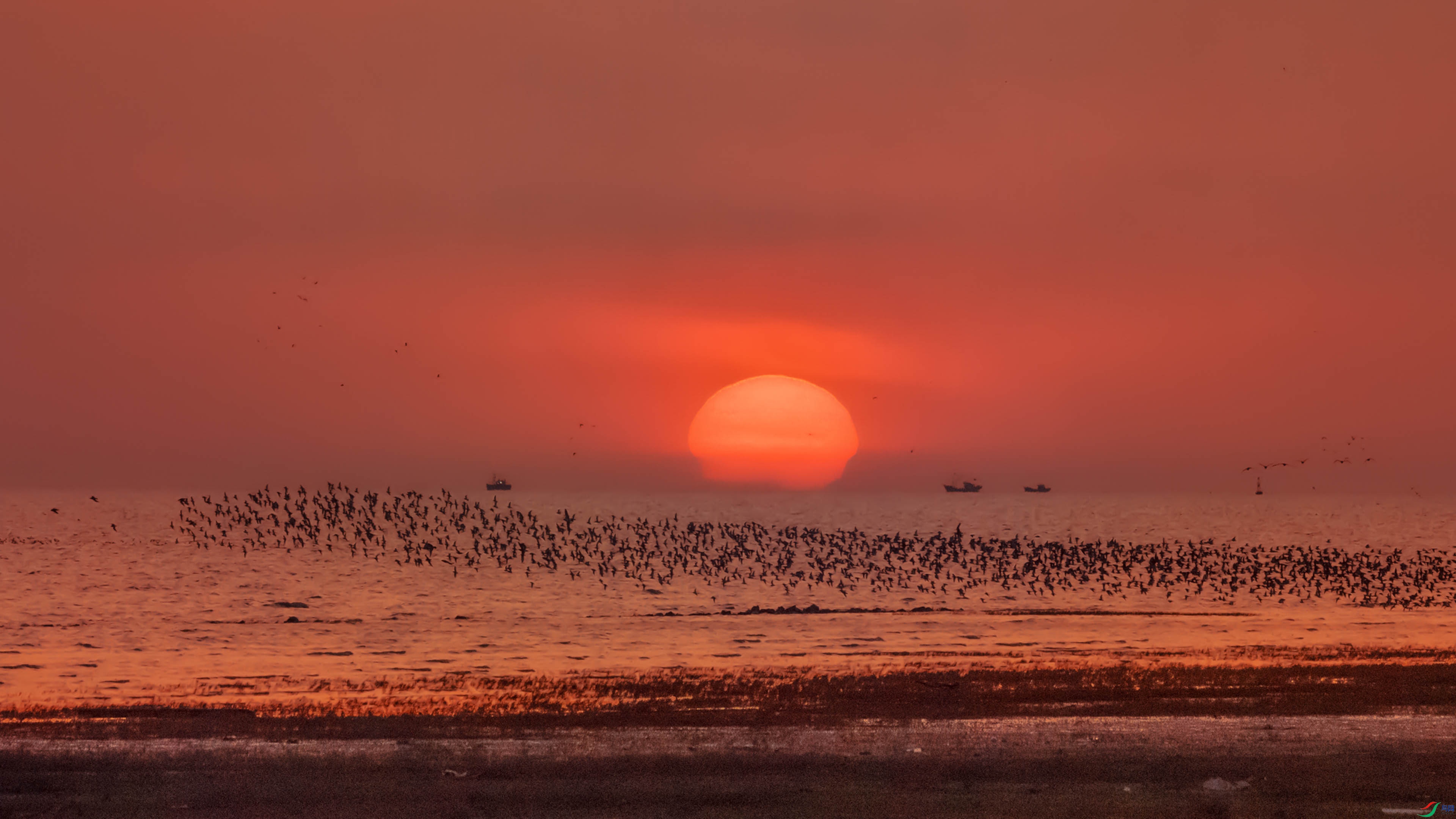 Ϧ������