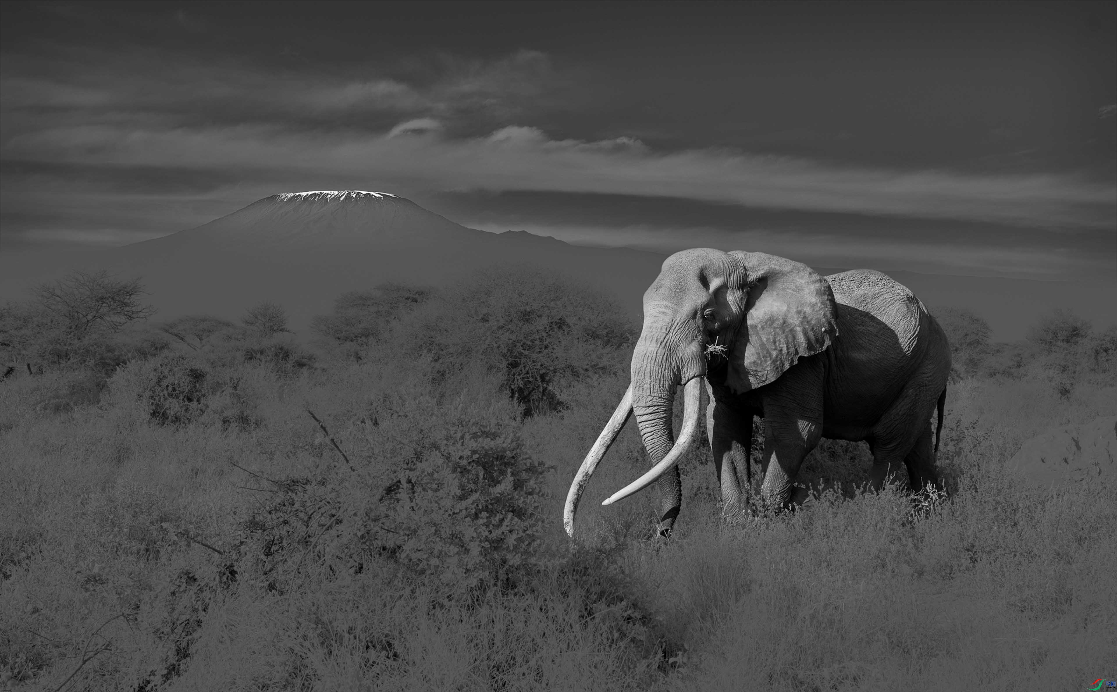 ��Σ�޳���