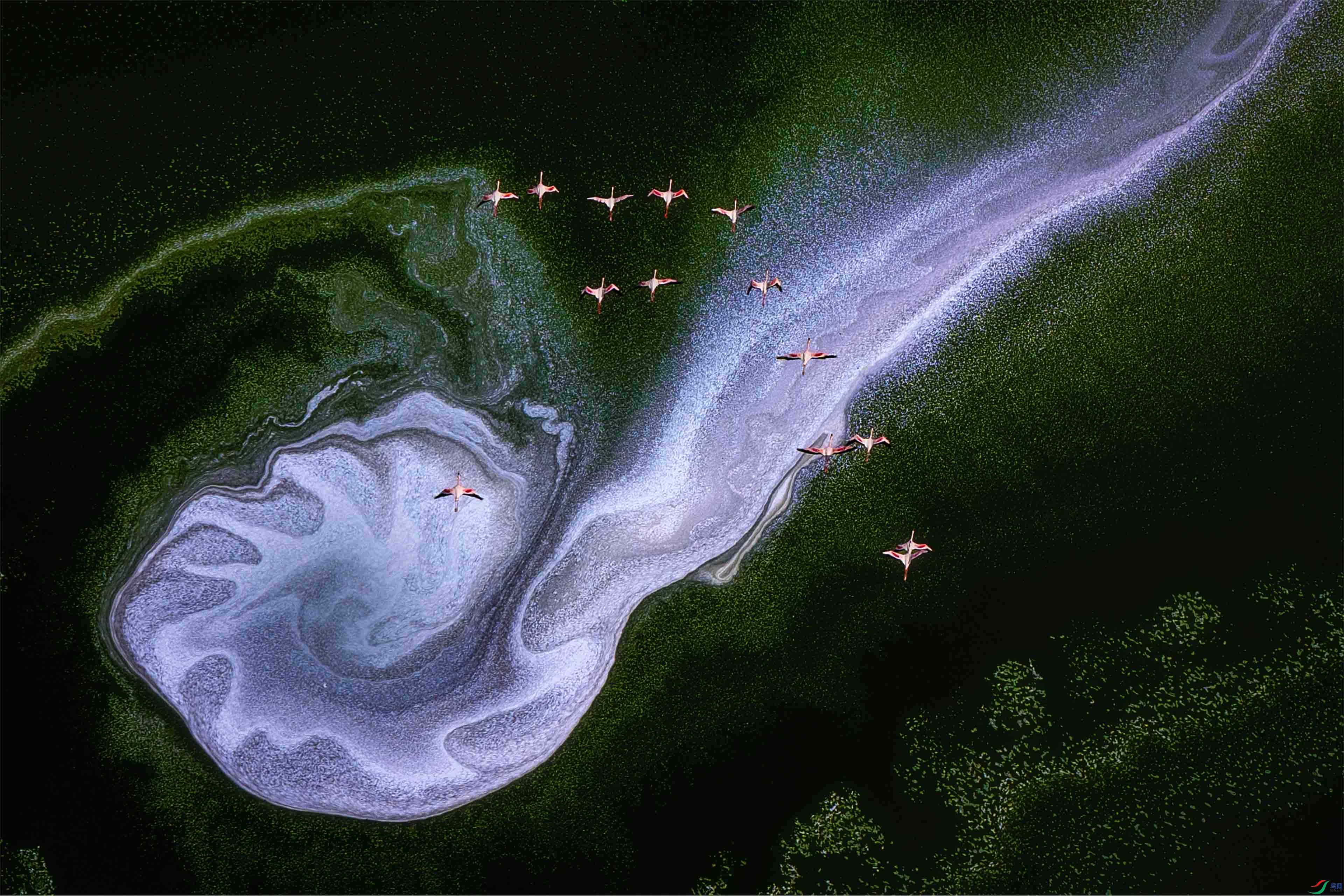 ���Ļ�����