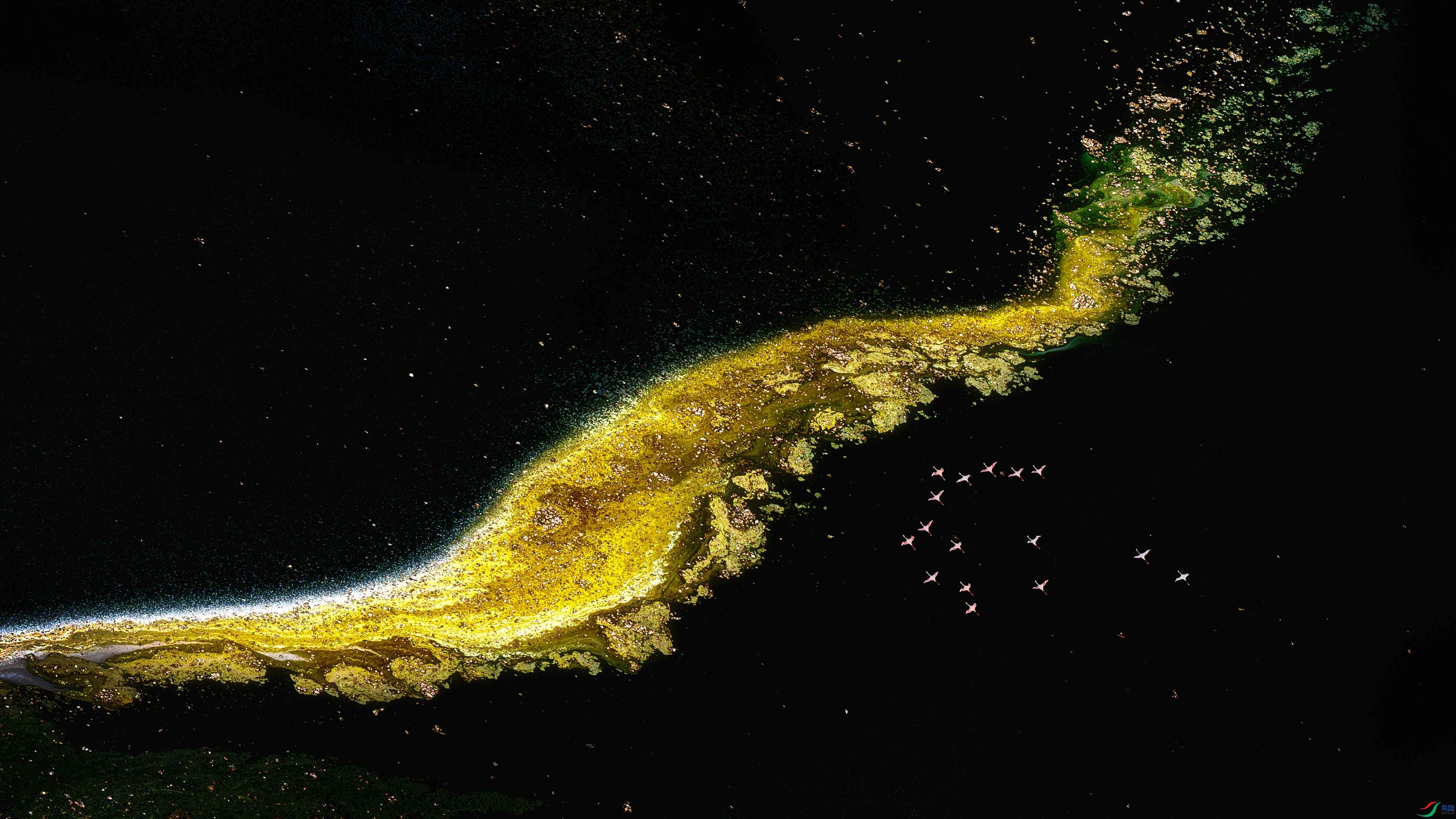 ���Ļ�����