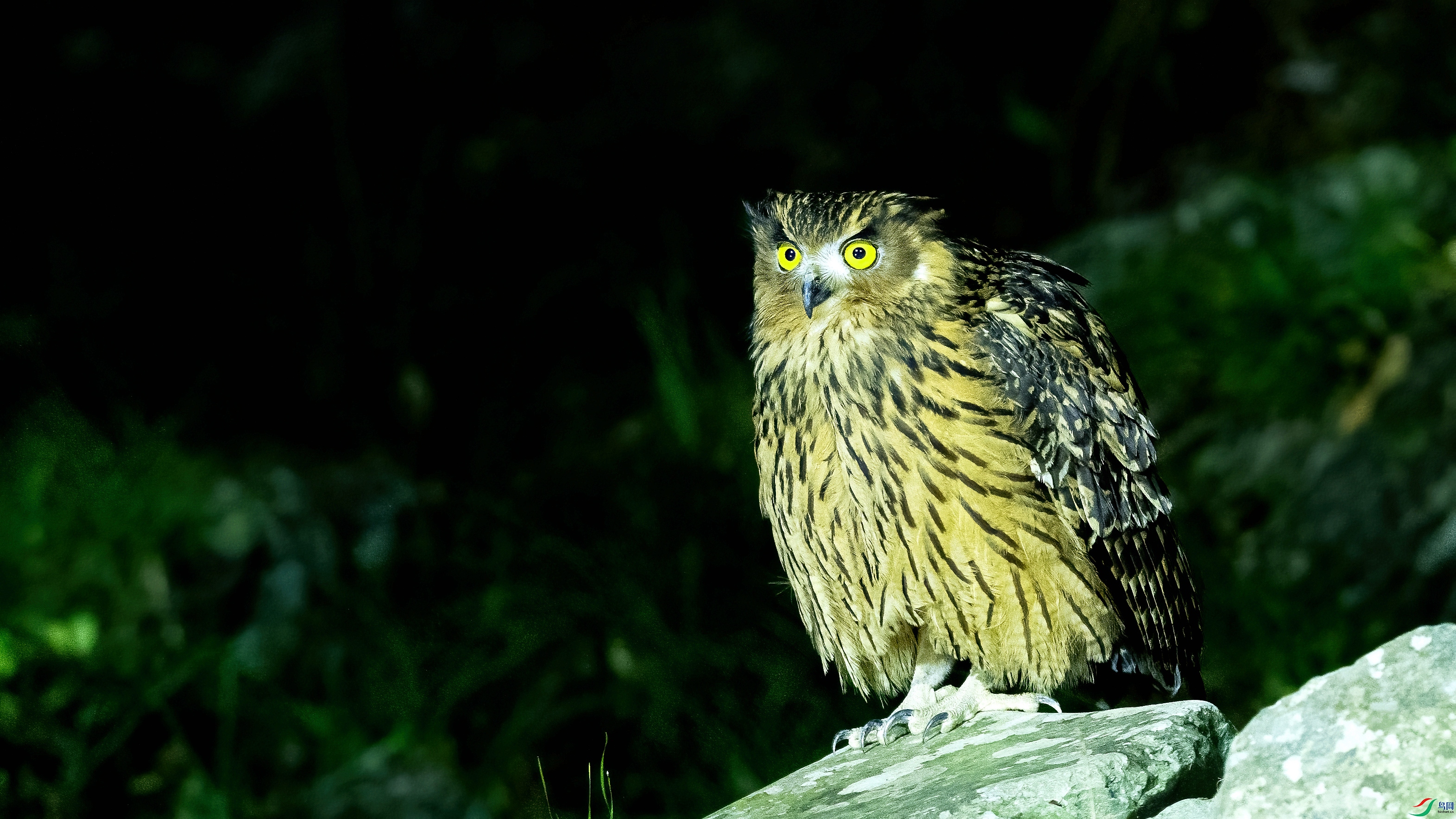 DSC_7983.jpg