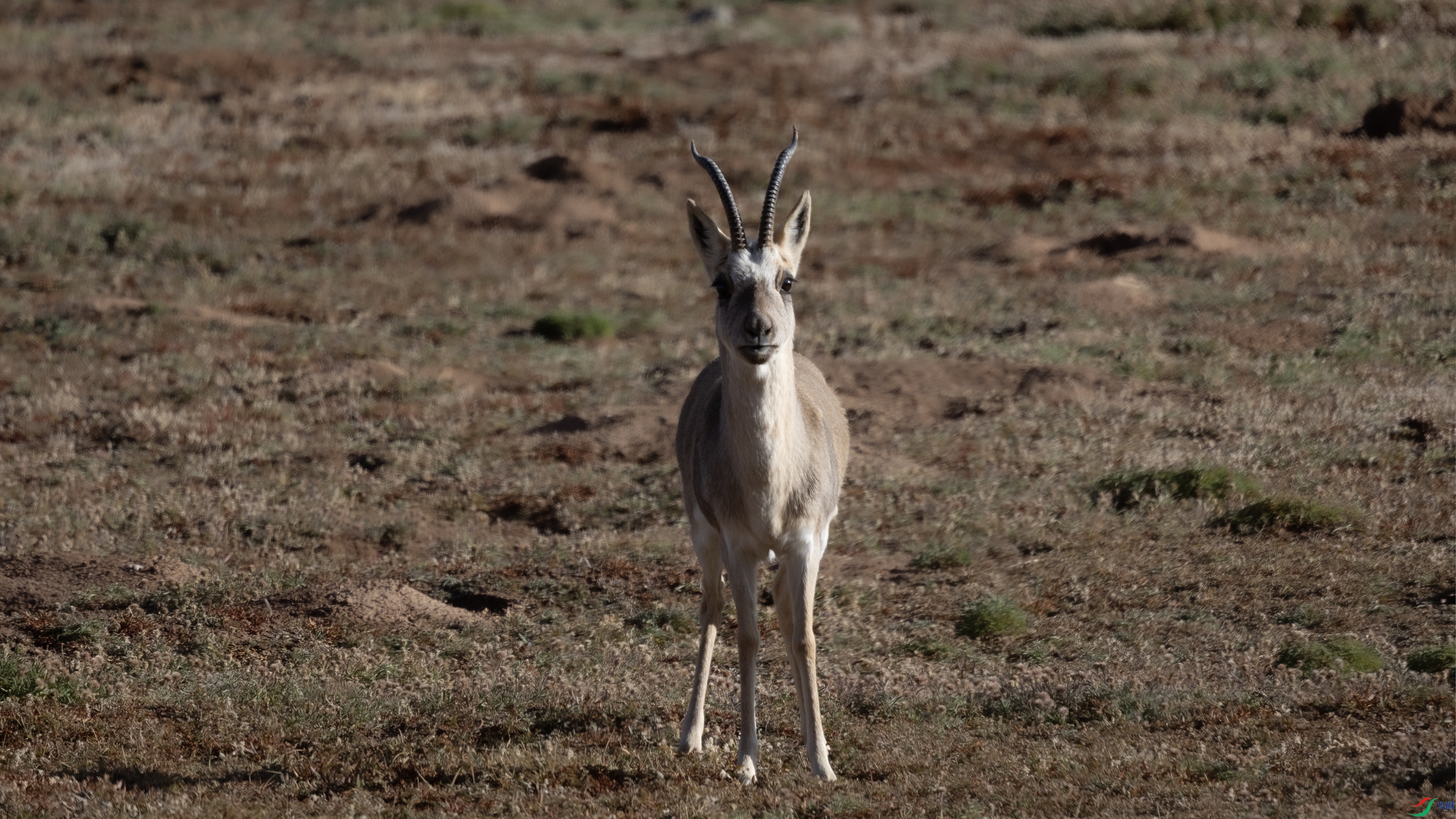 381A5984 ����4444.jpg