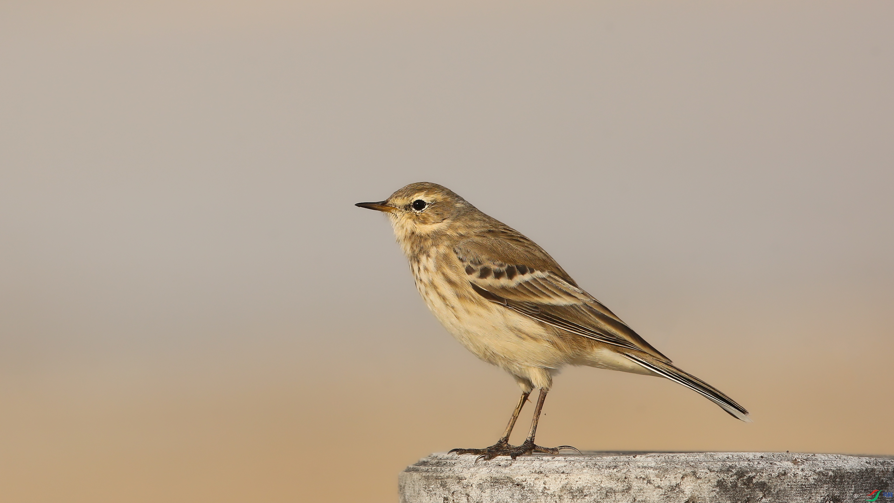 X39A6224 ����4444444.jpg