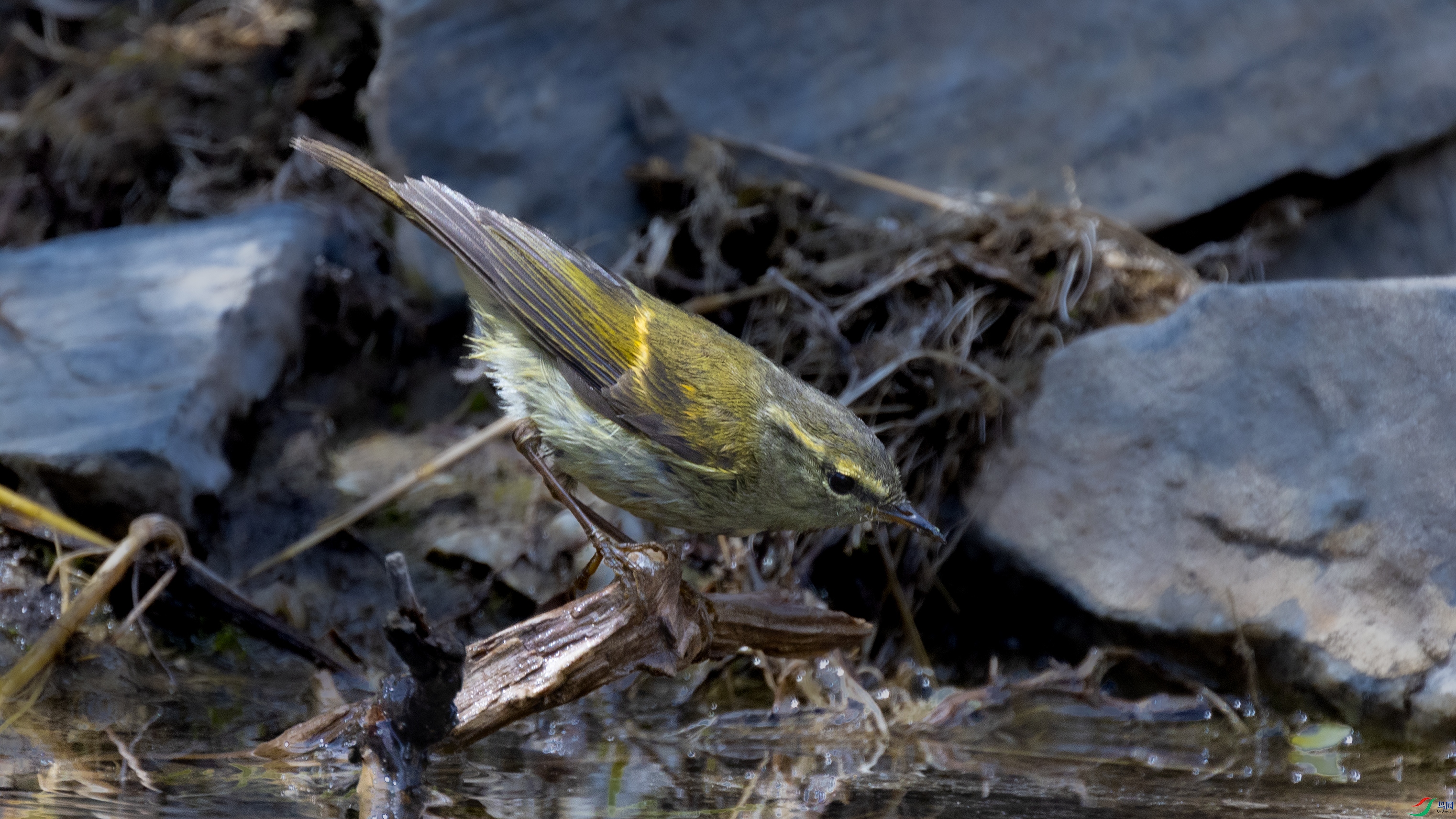 _O7A8745 ����4444.jpg