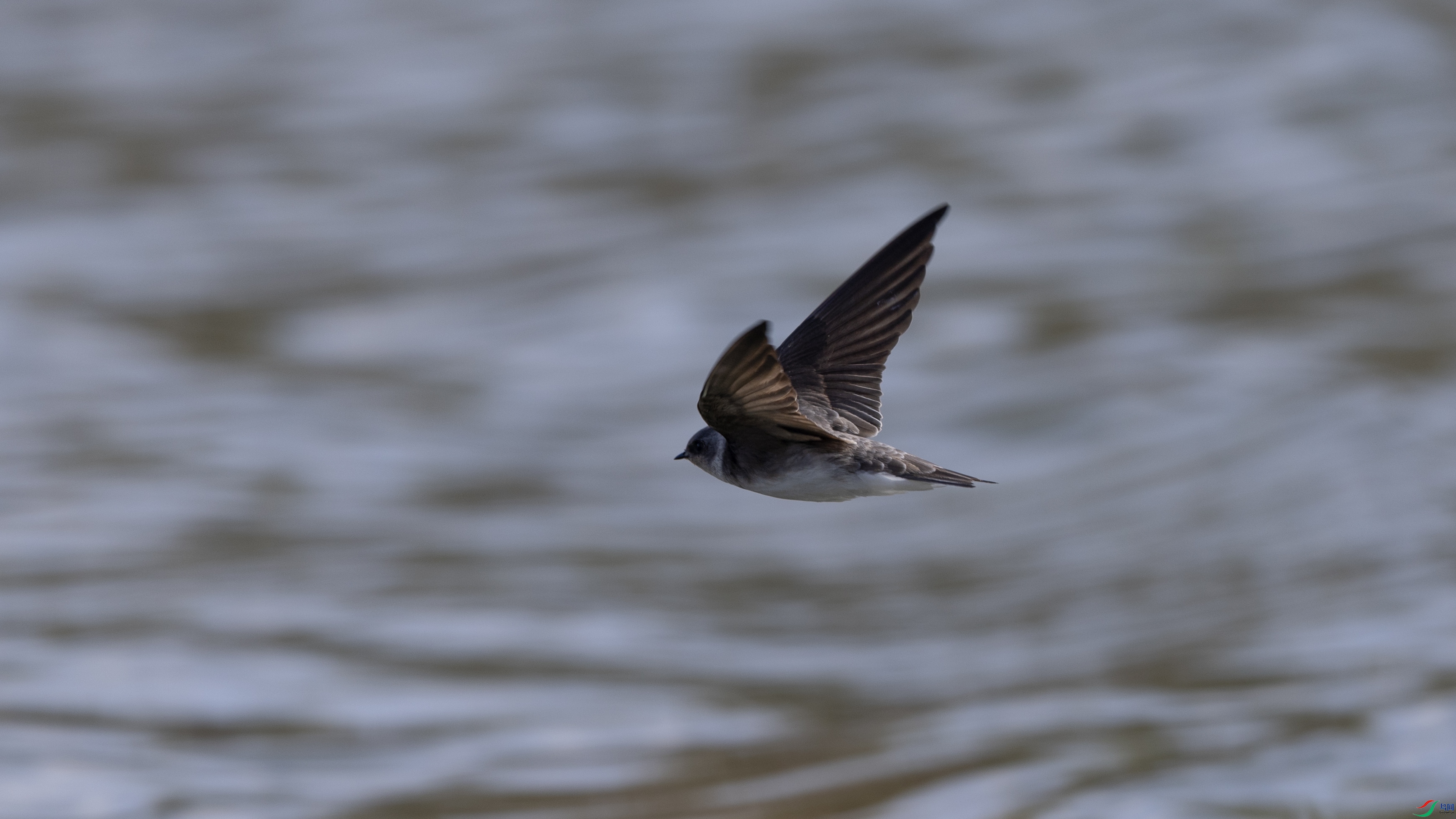 _O7A5823 ��4444444.jpg