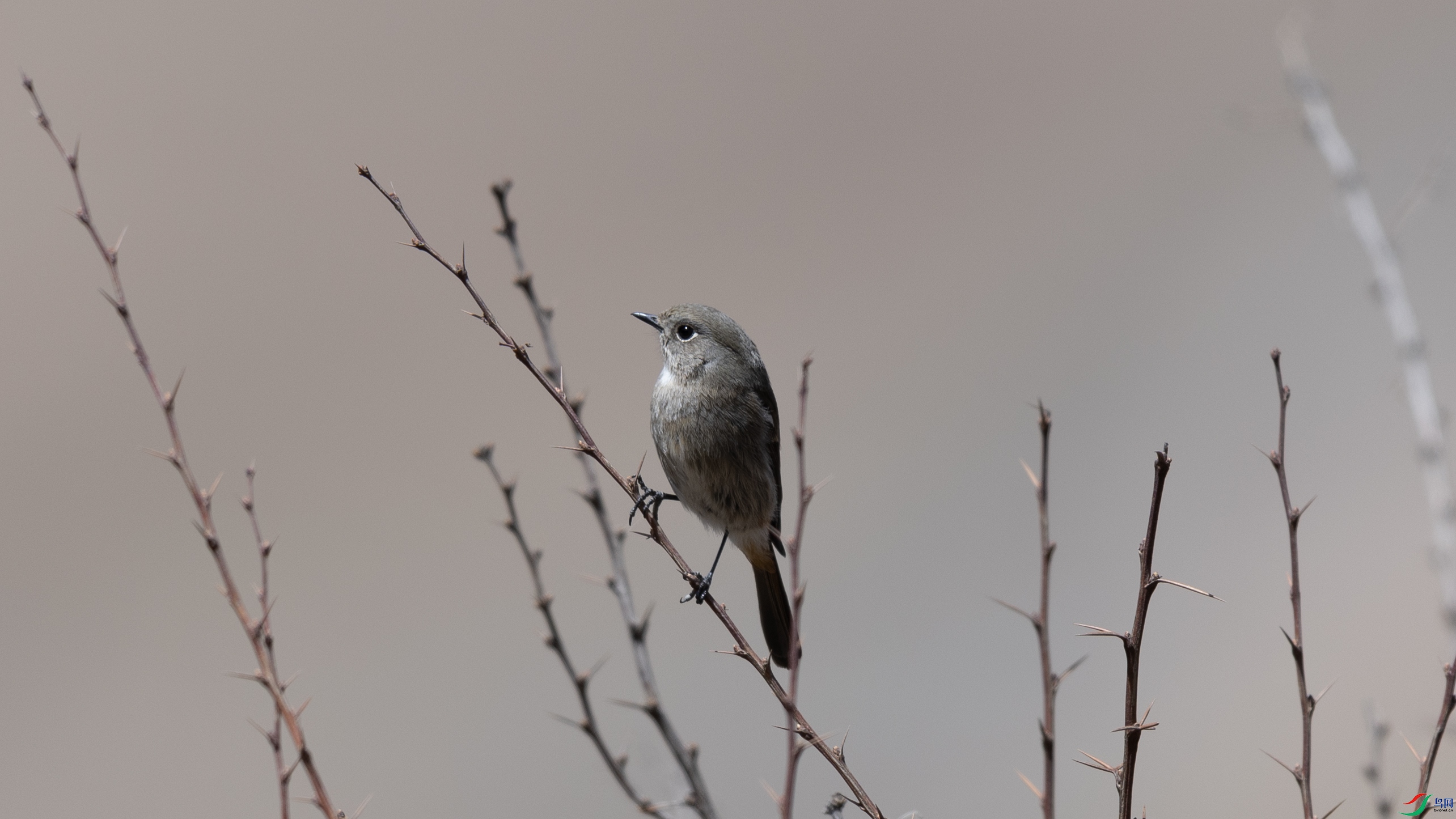 _O7A4697 ����44444.jpg