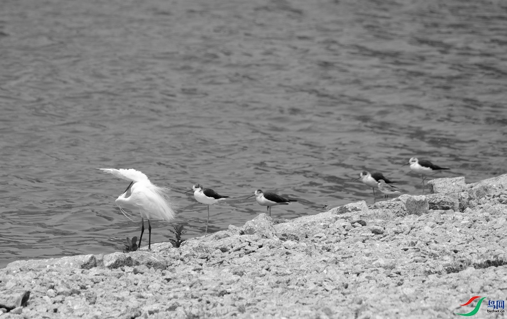 DSCF4857.1.jpg