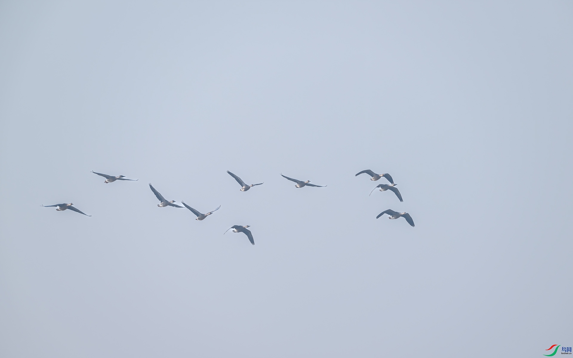 DSC_0665.jpg
