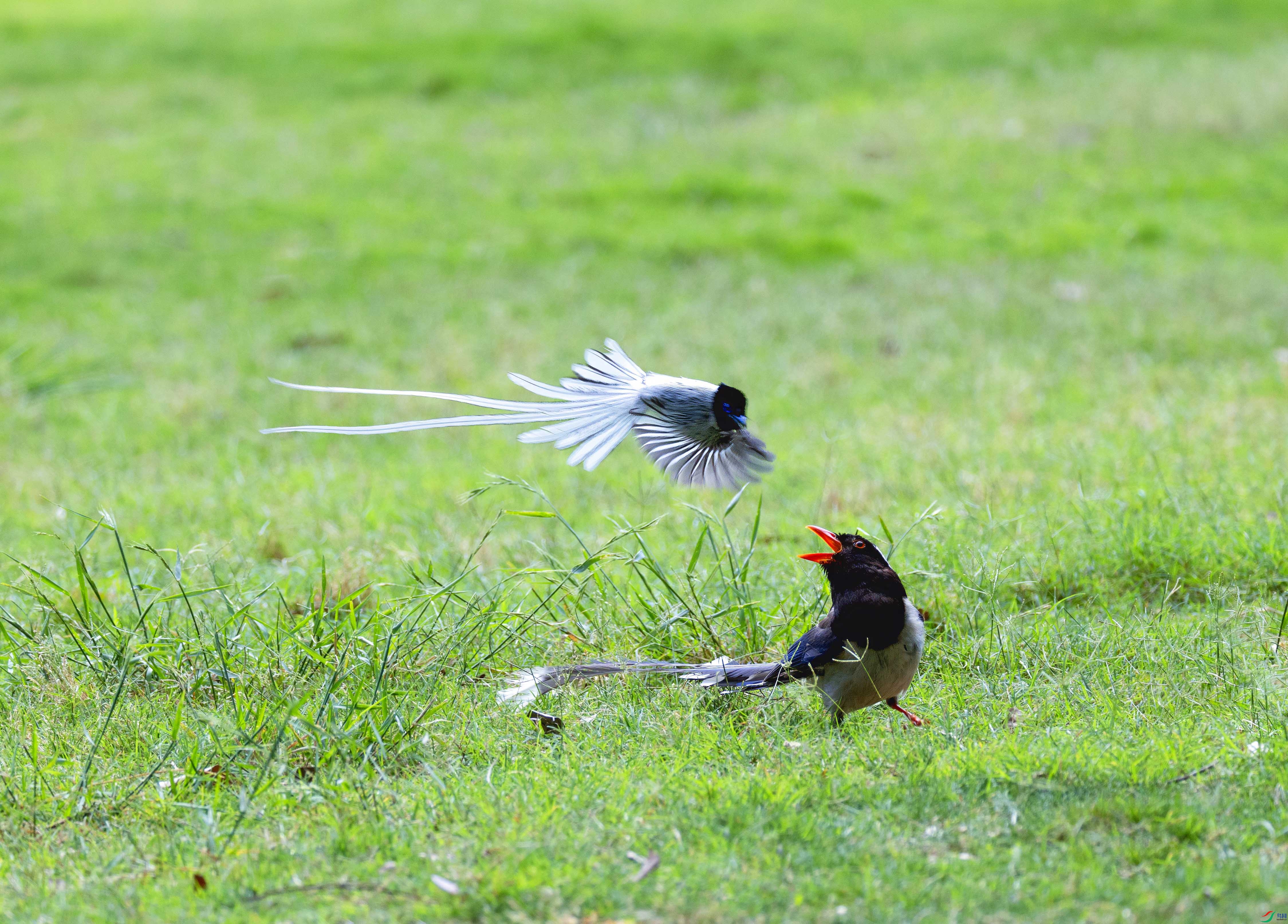 5N9A2560 ����.jpg