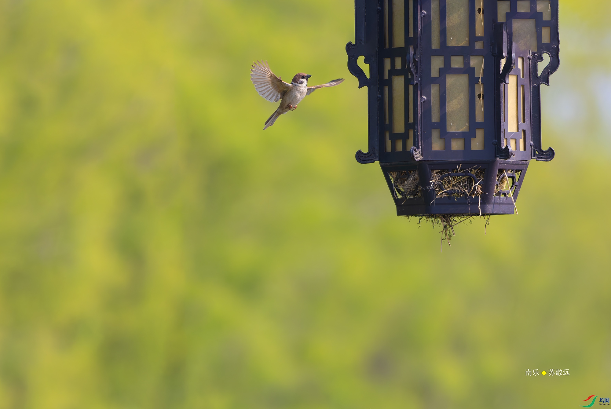 20250420-_DSC6729С.jpg