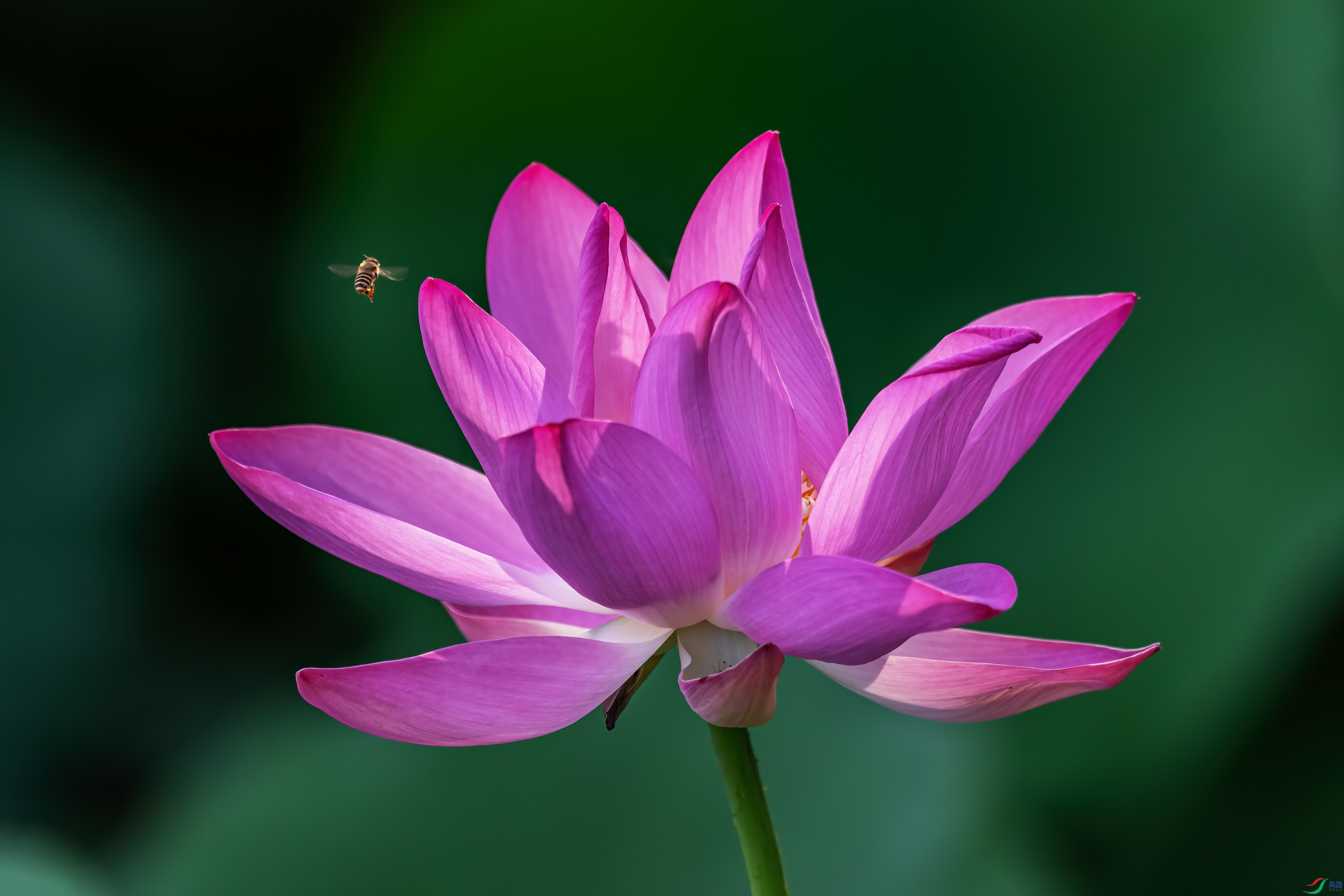 DSC07141_����.jpg