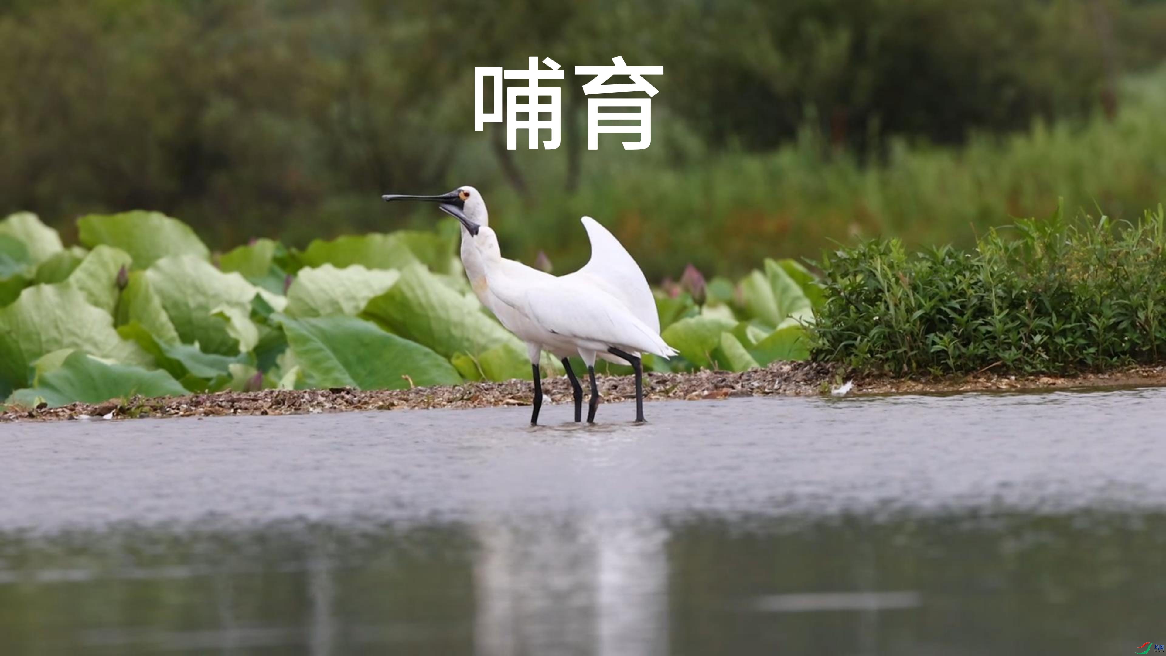 6��16�� (1)-����.jpg