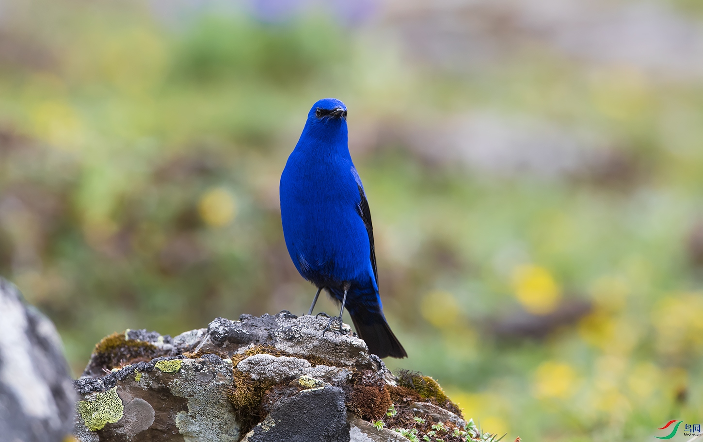DSC_9940.jpg