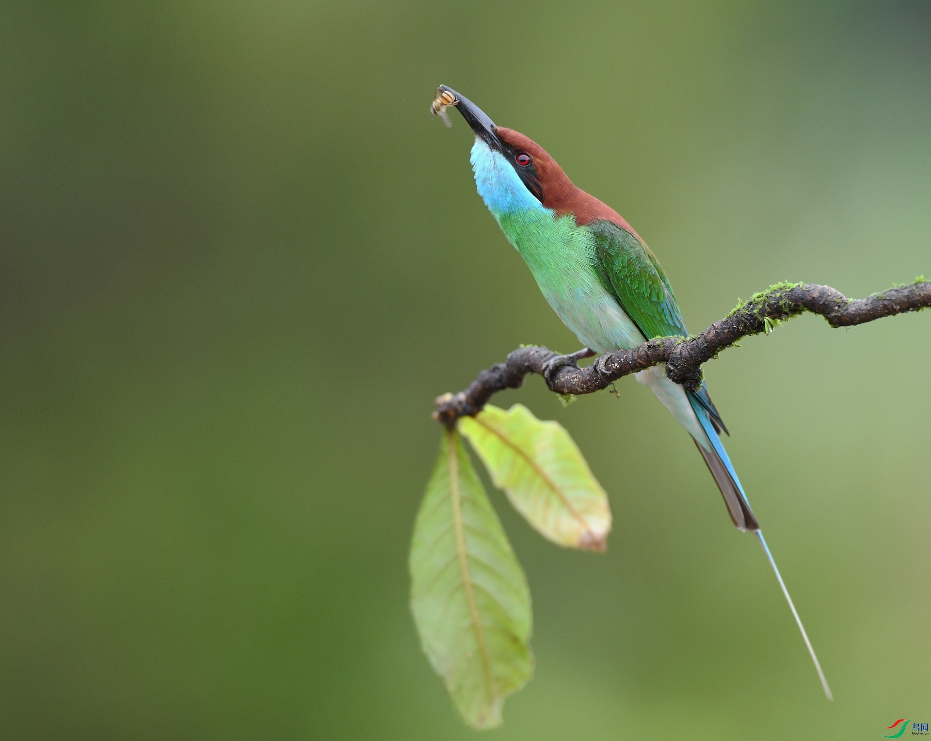 DSC_2795.jpg