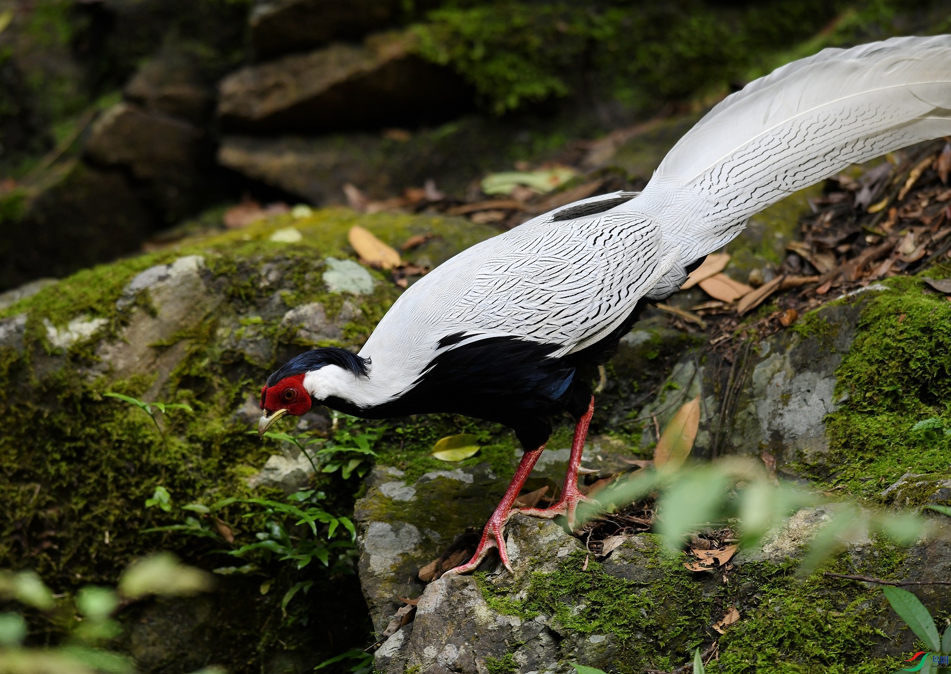 DSC_8227.jpg
