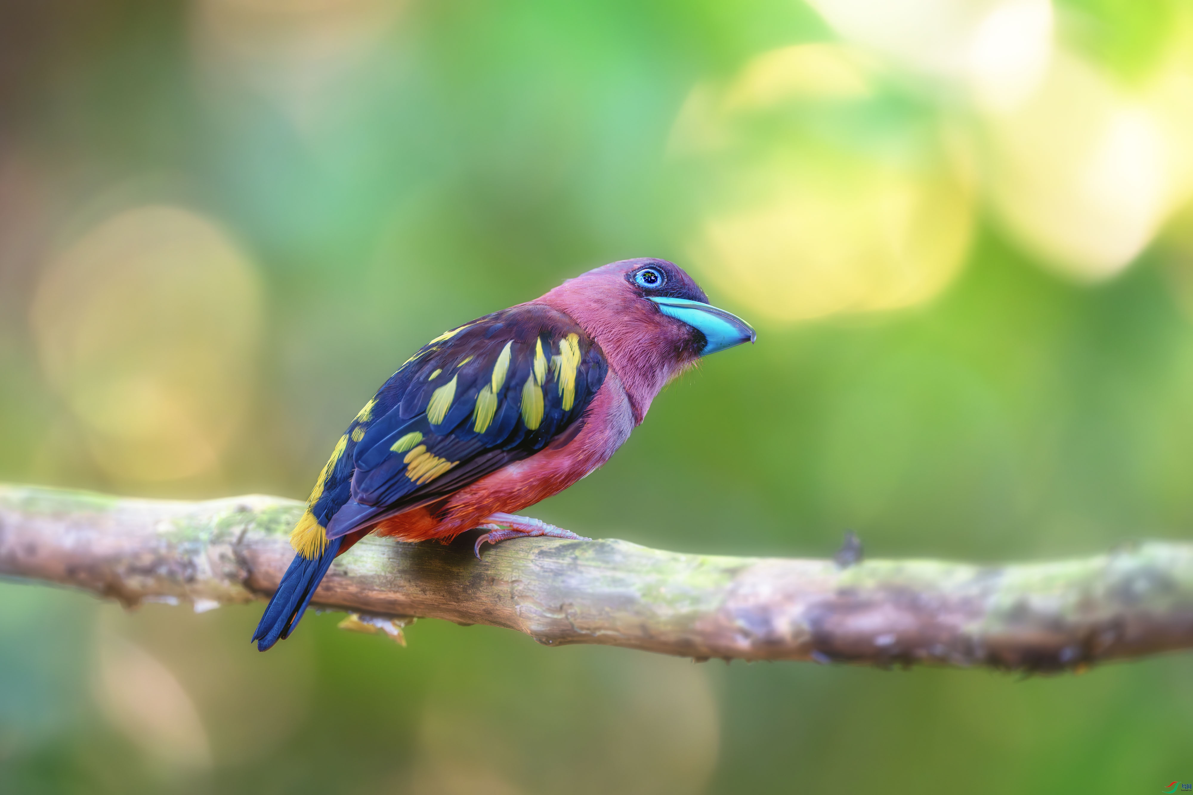 _DSC9723-����ǿ-NR-2 ����.jpg