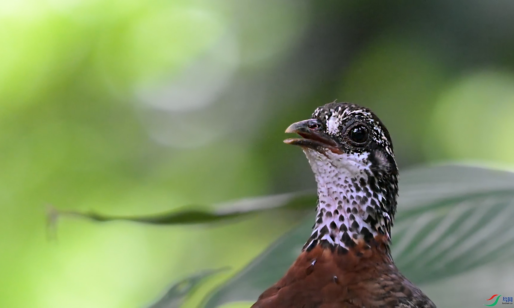 {7071920E-E21D-4F79-AB1F-D122209E3E5B} ����.jpg