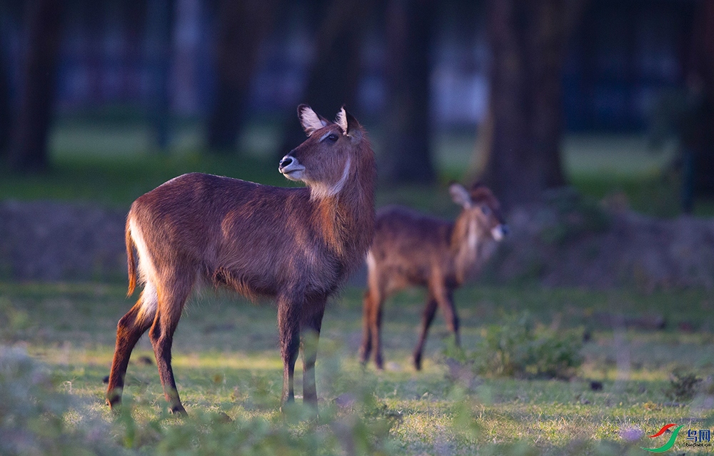 ���ޡ���ˮ�� ��.jpg