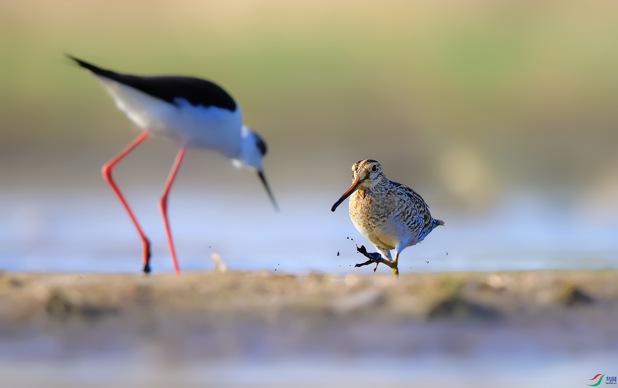 R5M22567 -����.jpg