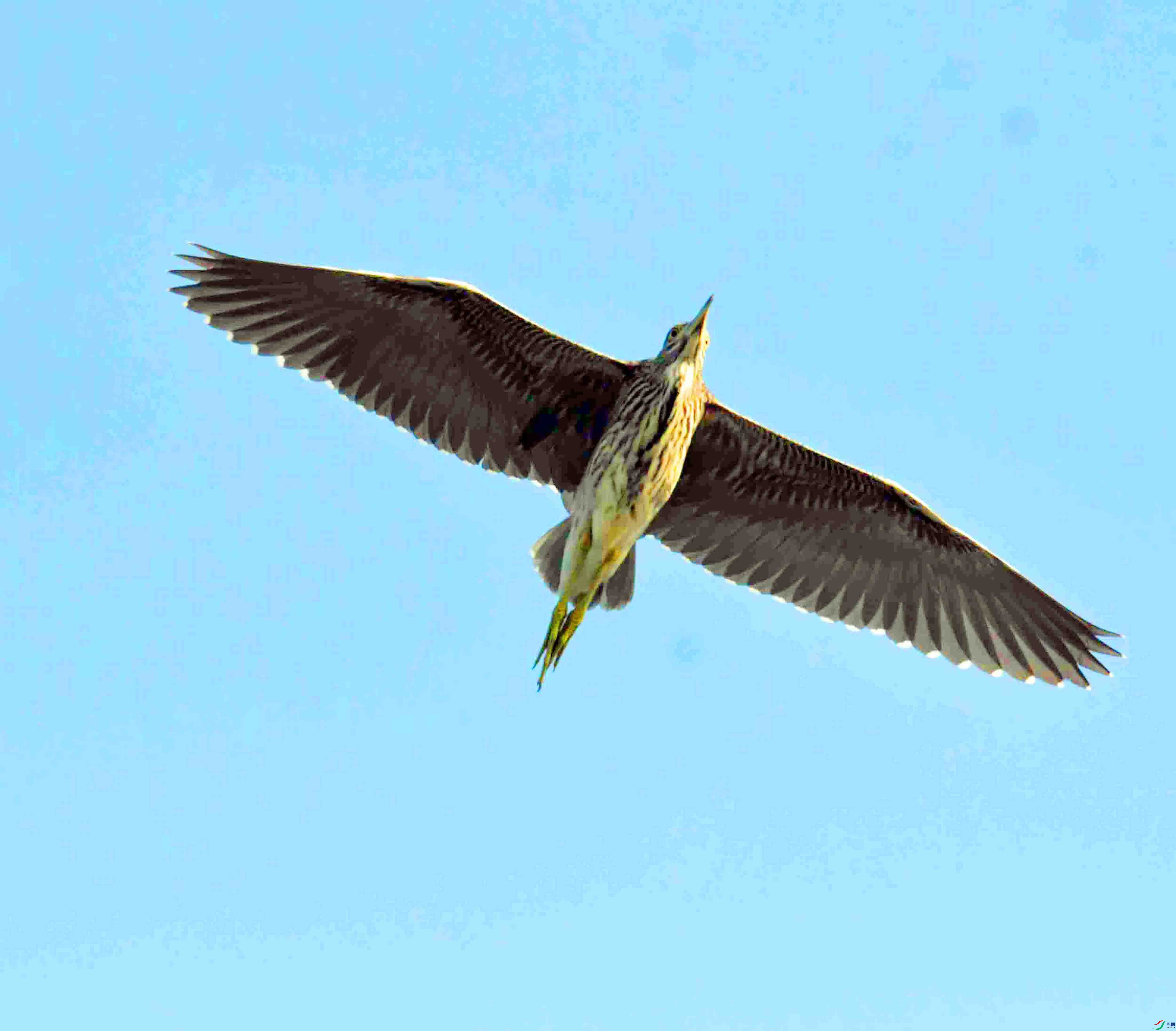 DSC_3037.JPG