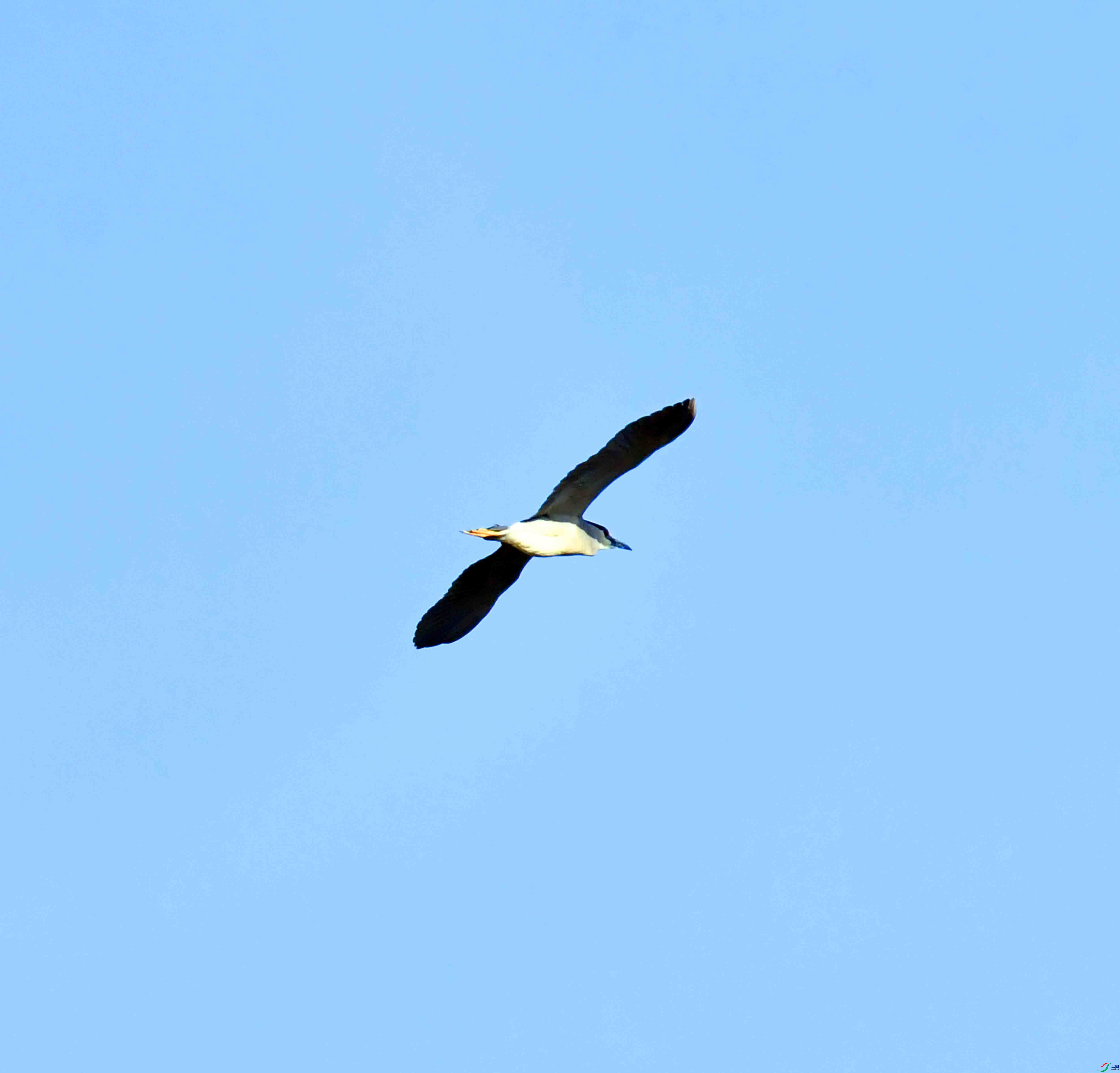 DSC_5735.JPG