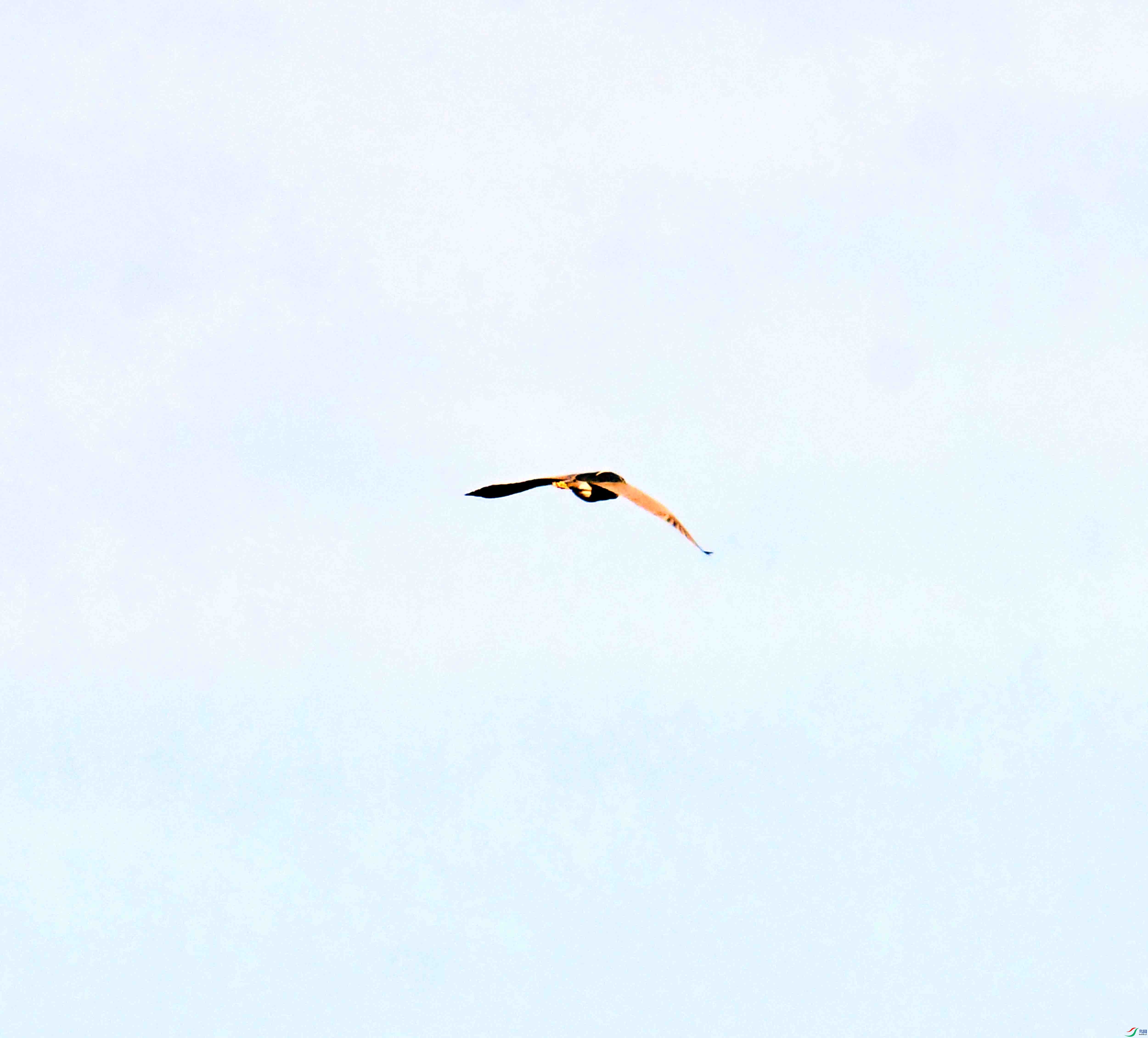 DSC_5751.JPG