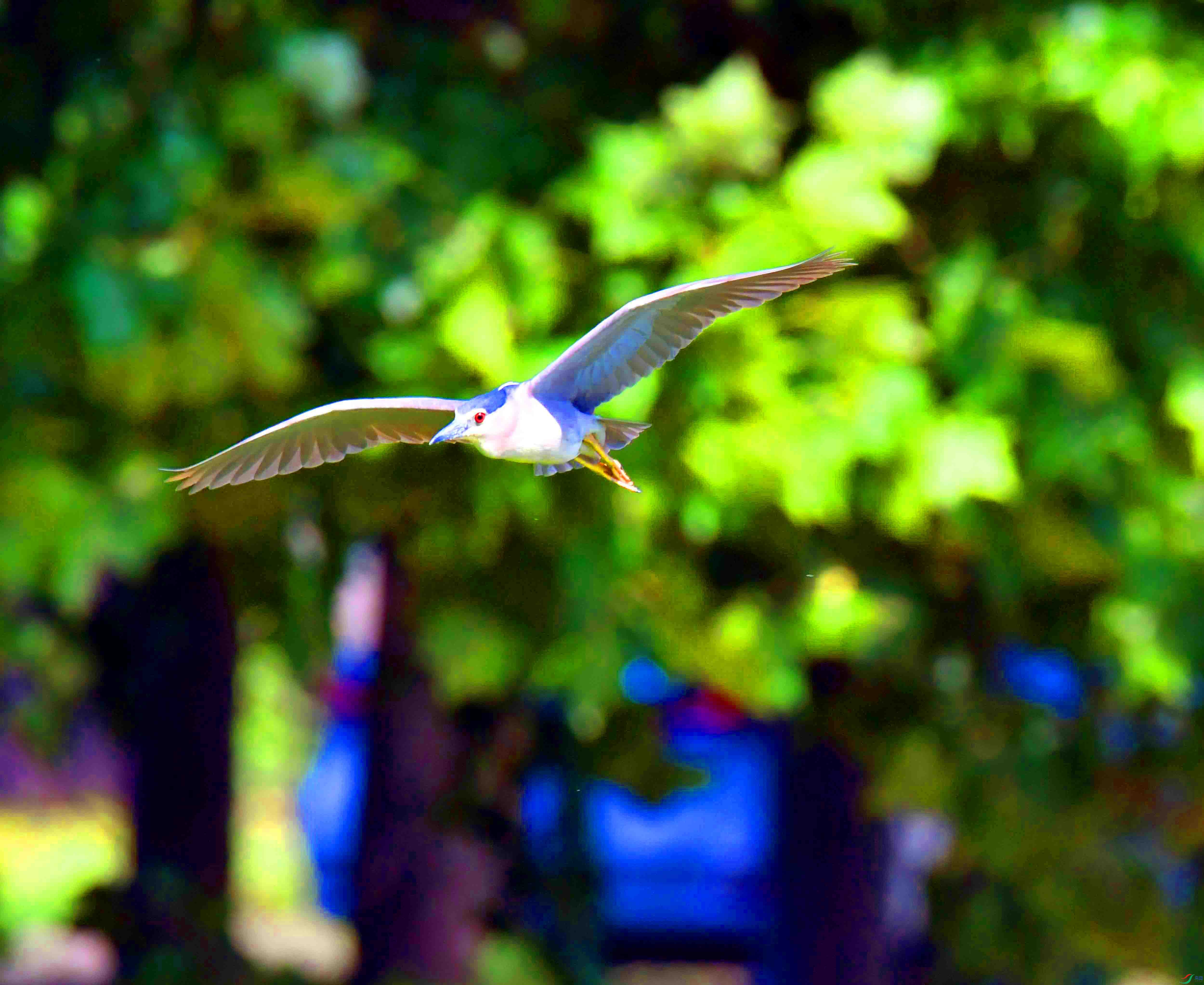 DSC_6409.JPG