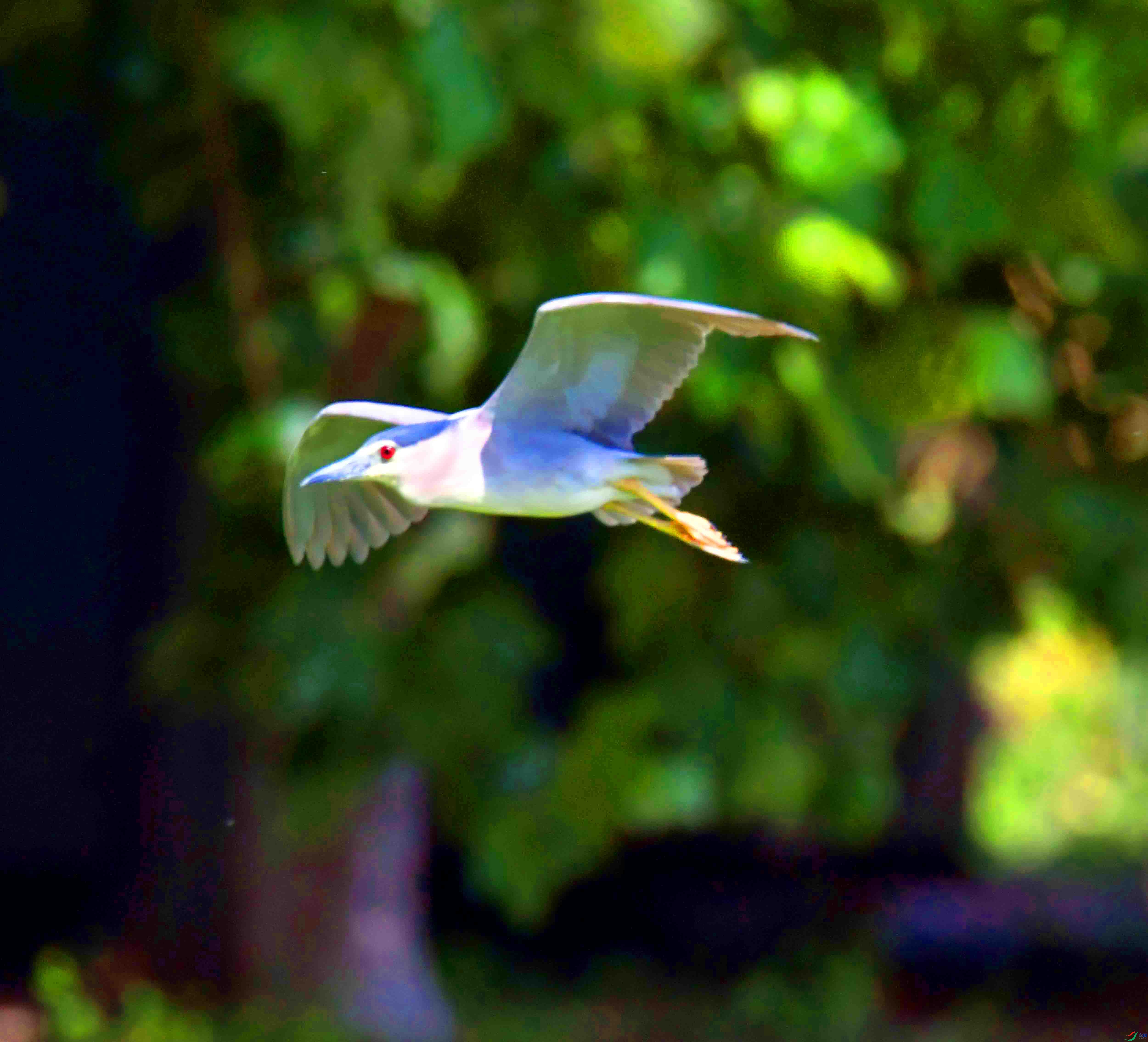 DSC_6412.JPG