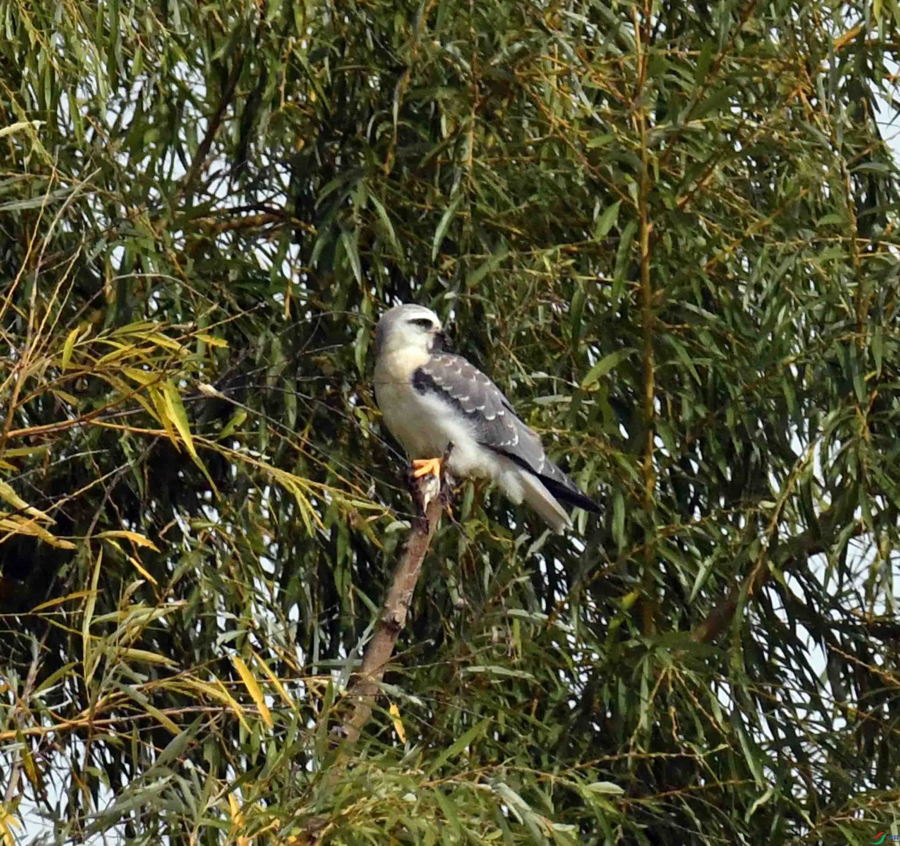DSC_1202.JPG