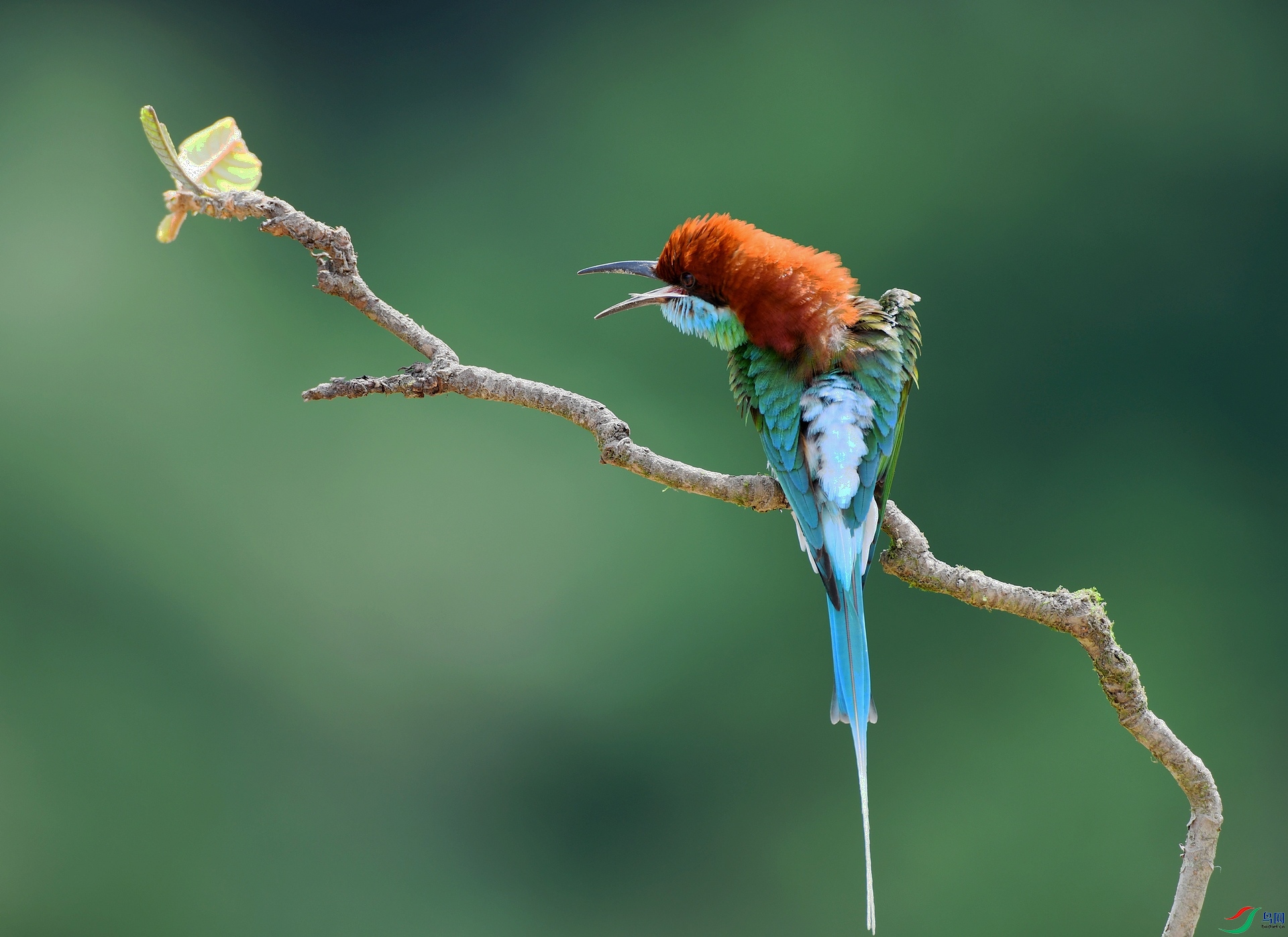 DSC_7639.jpg