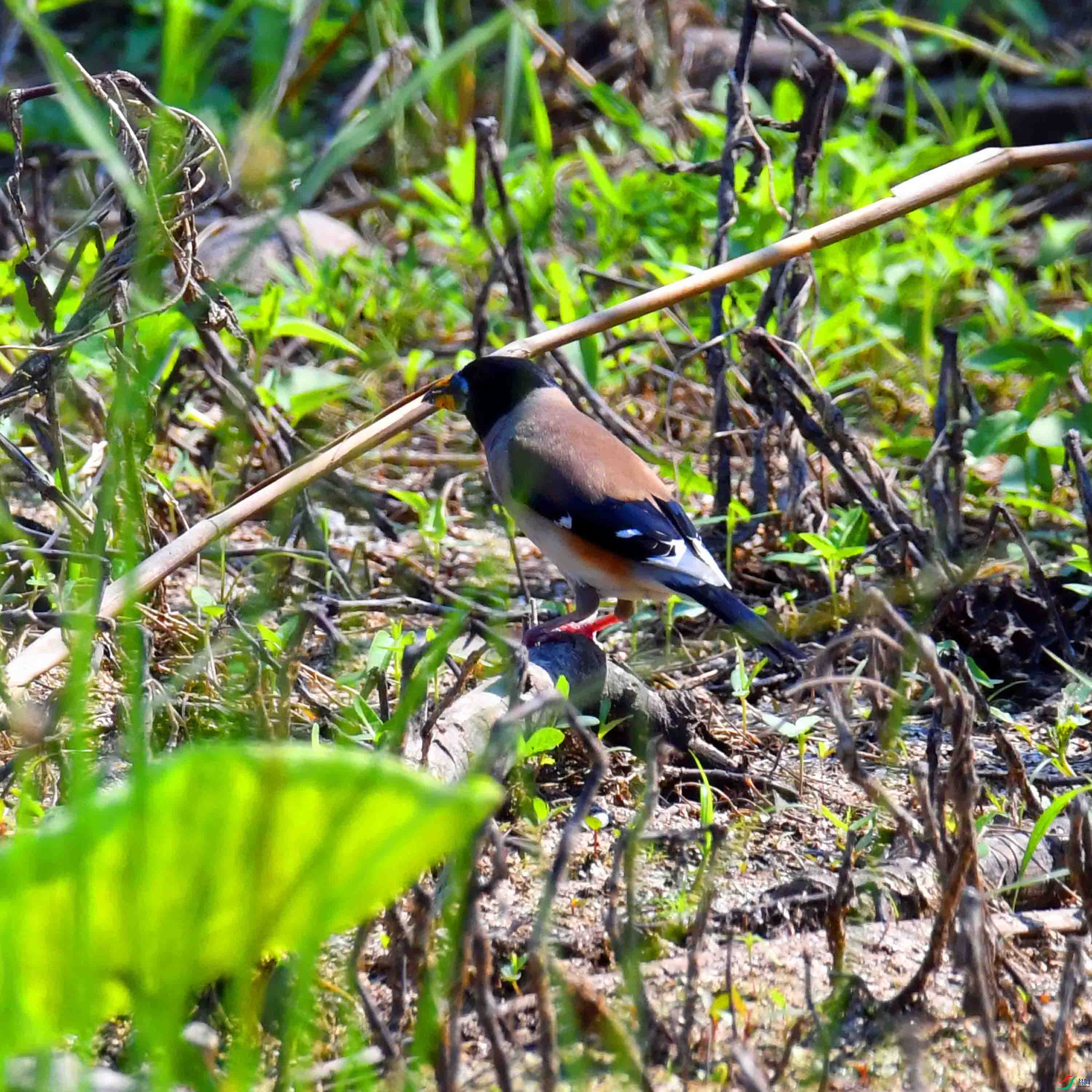 DSC_3324.JPG