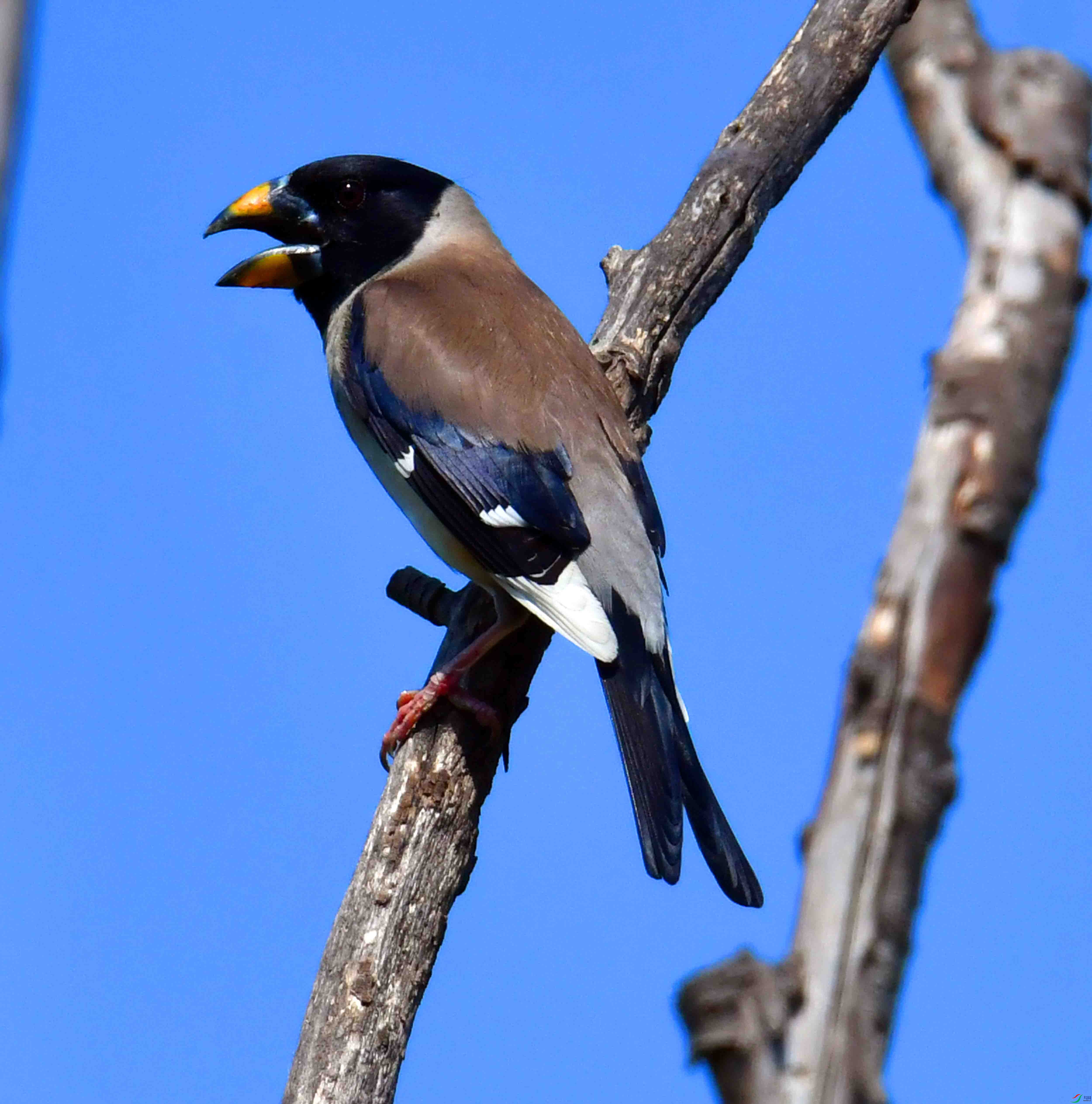 DSC_3404.JPG