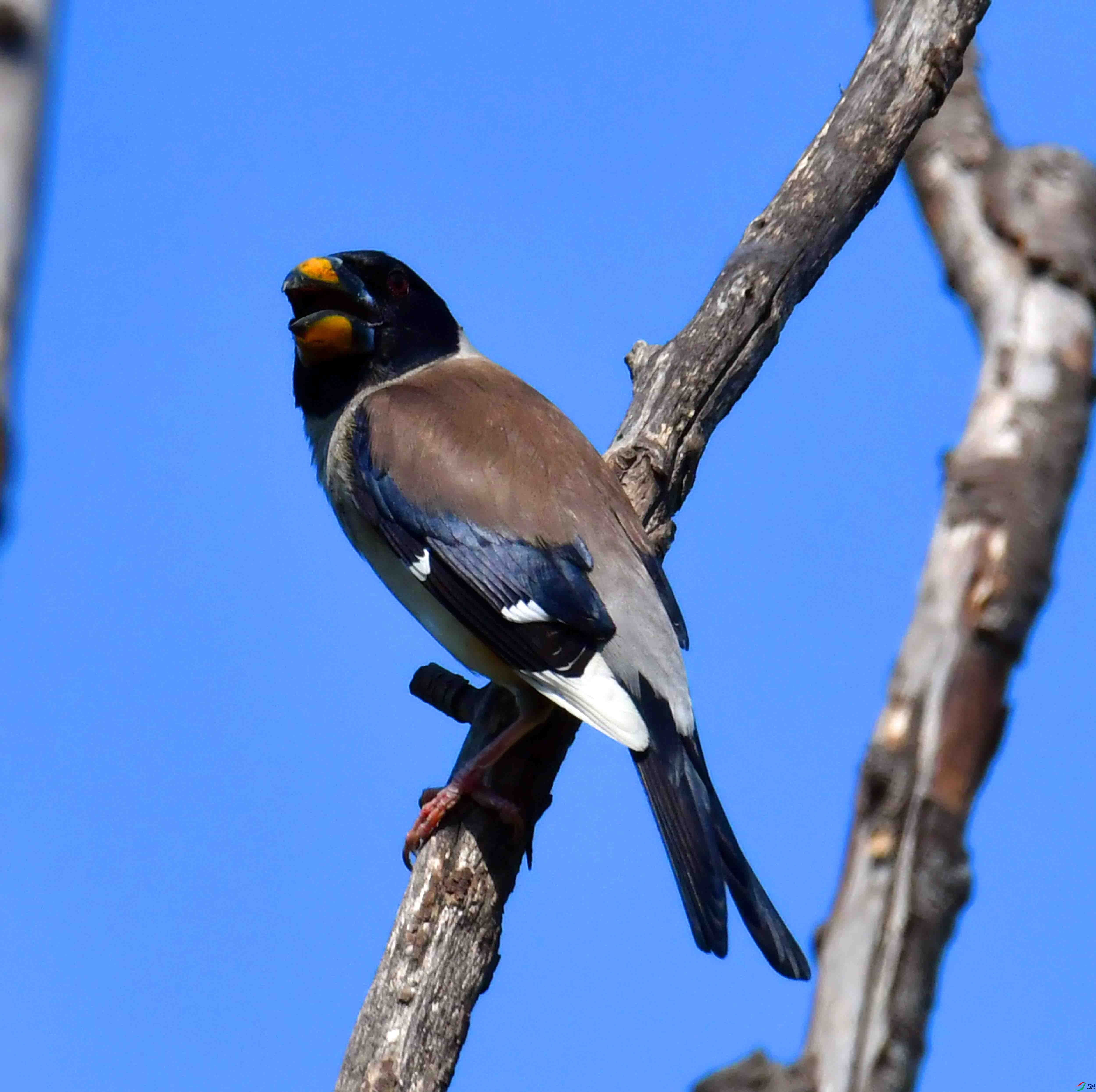DSC_3409.JPG