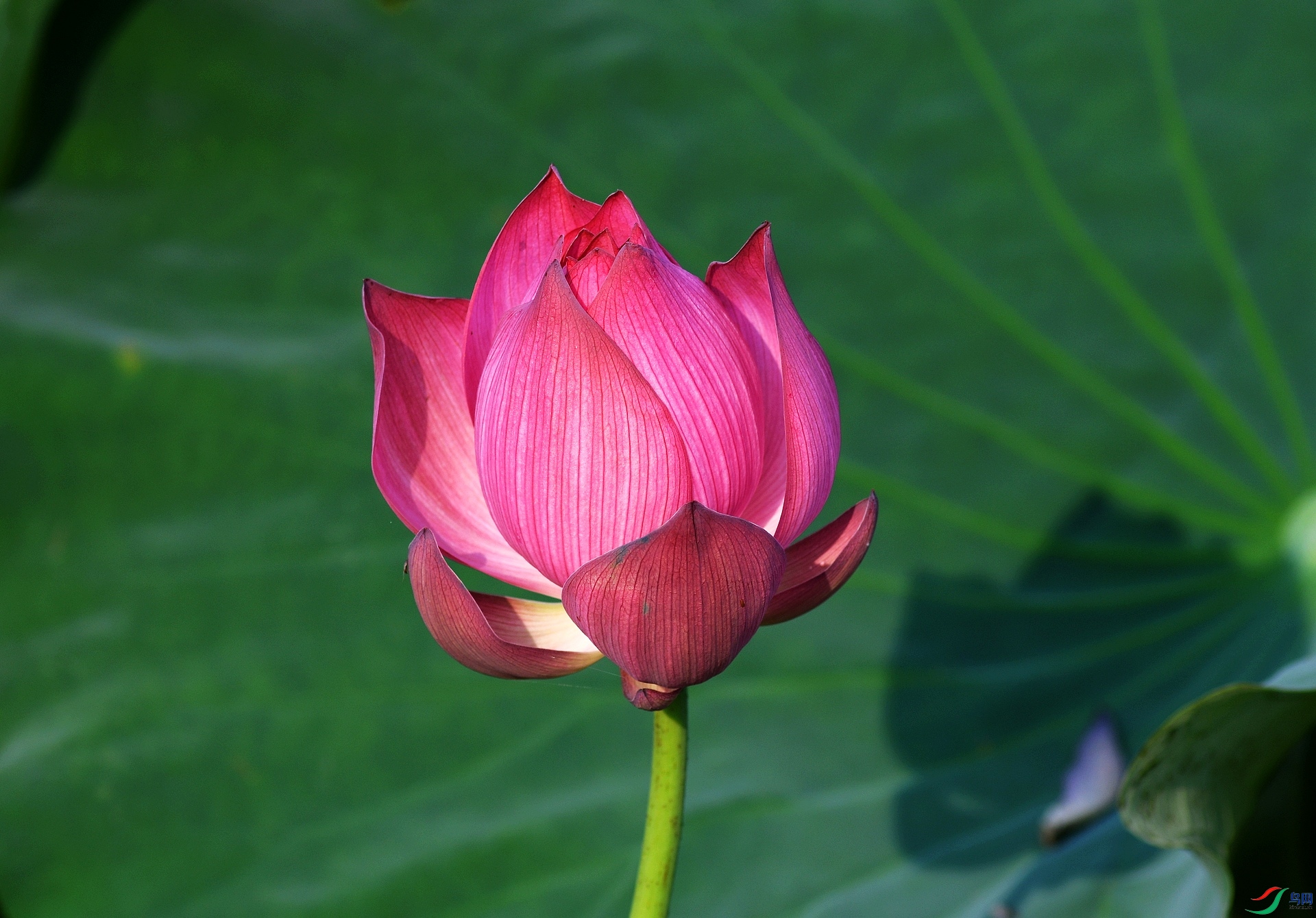 DSC_7611.jpg