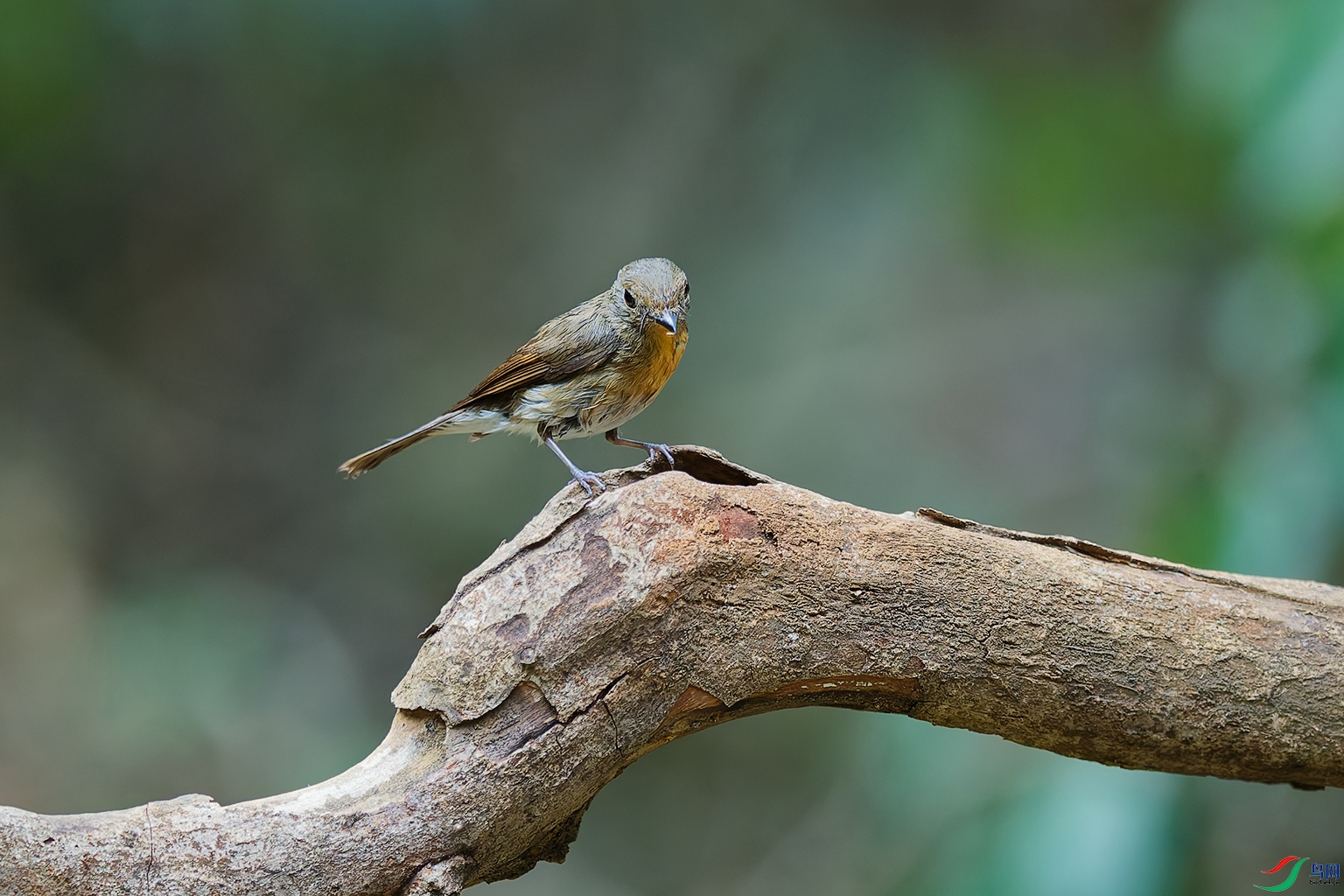6DSC_9641_DxO_DxOa.jpg