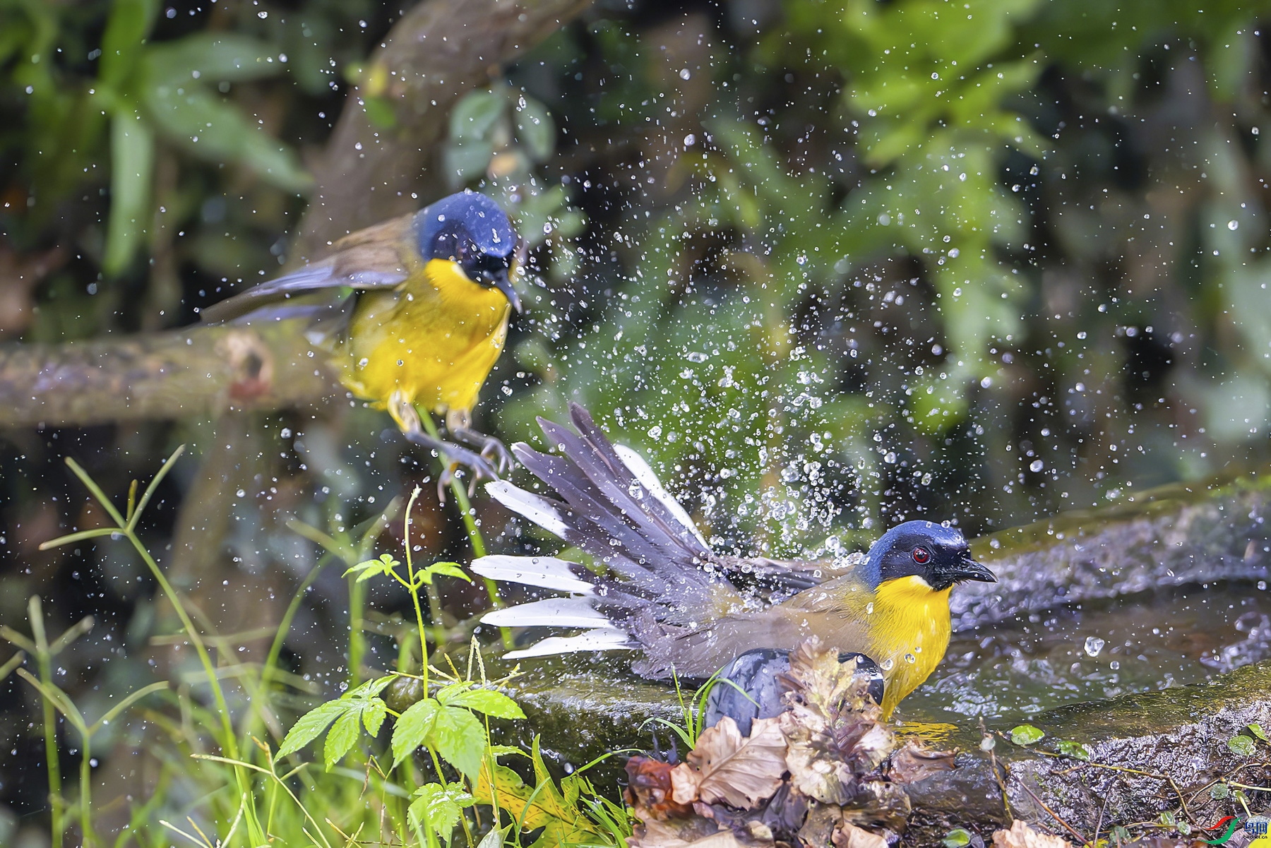 _DSC3916.jpg