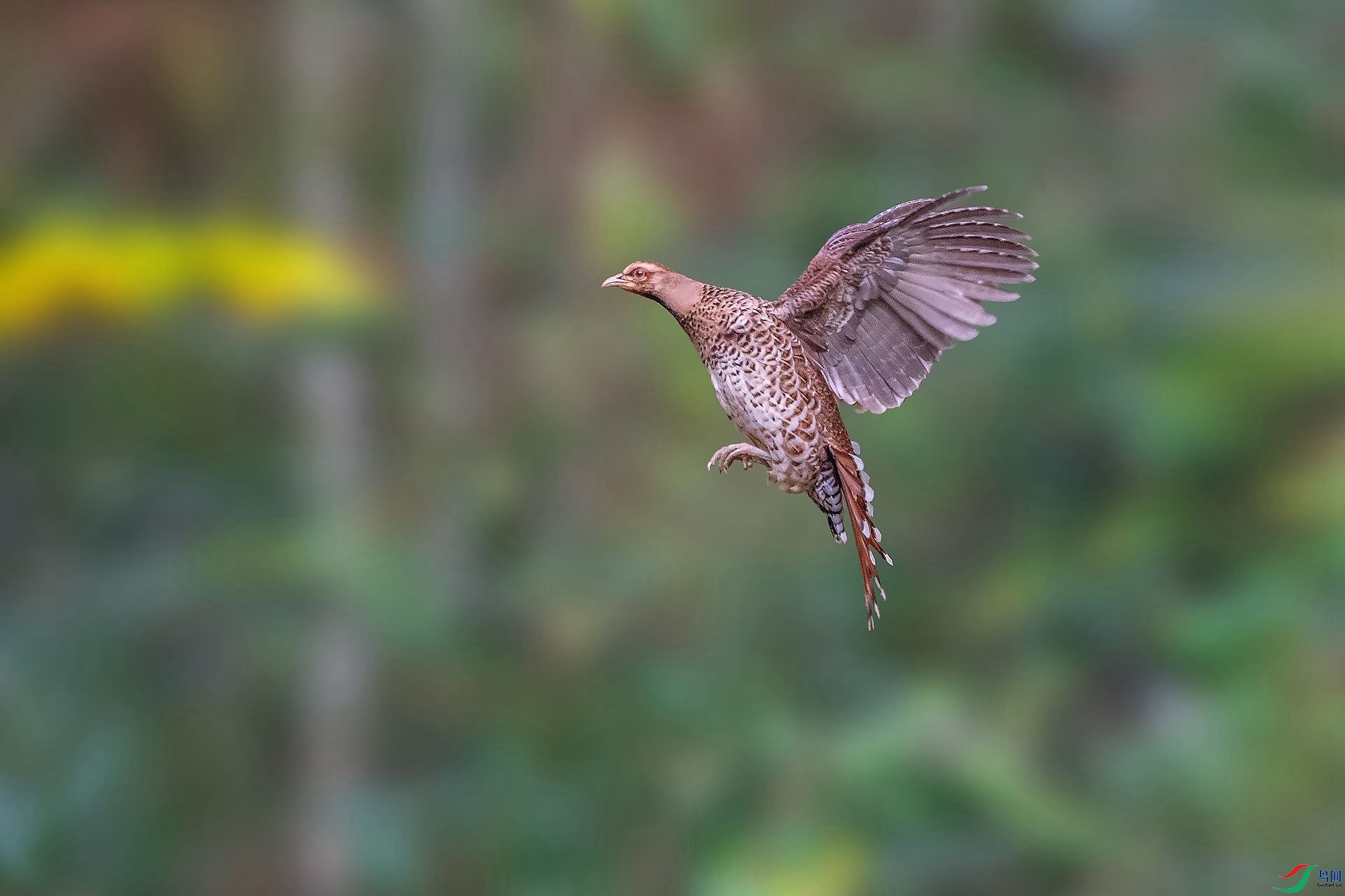 DSC_6839.jpg