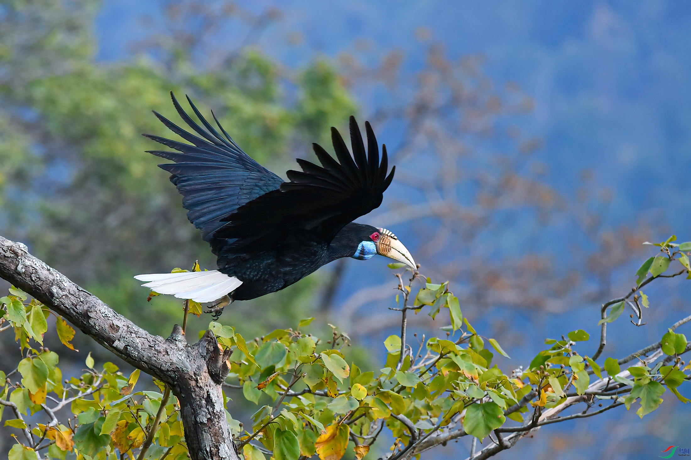 DSC_6541x.jpg