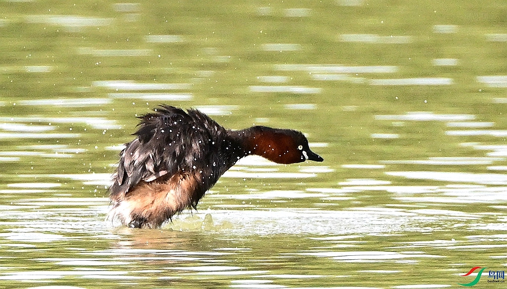 DSC_4719.JPG